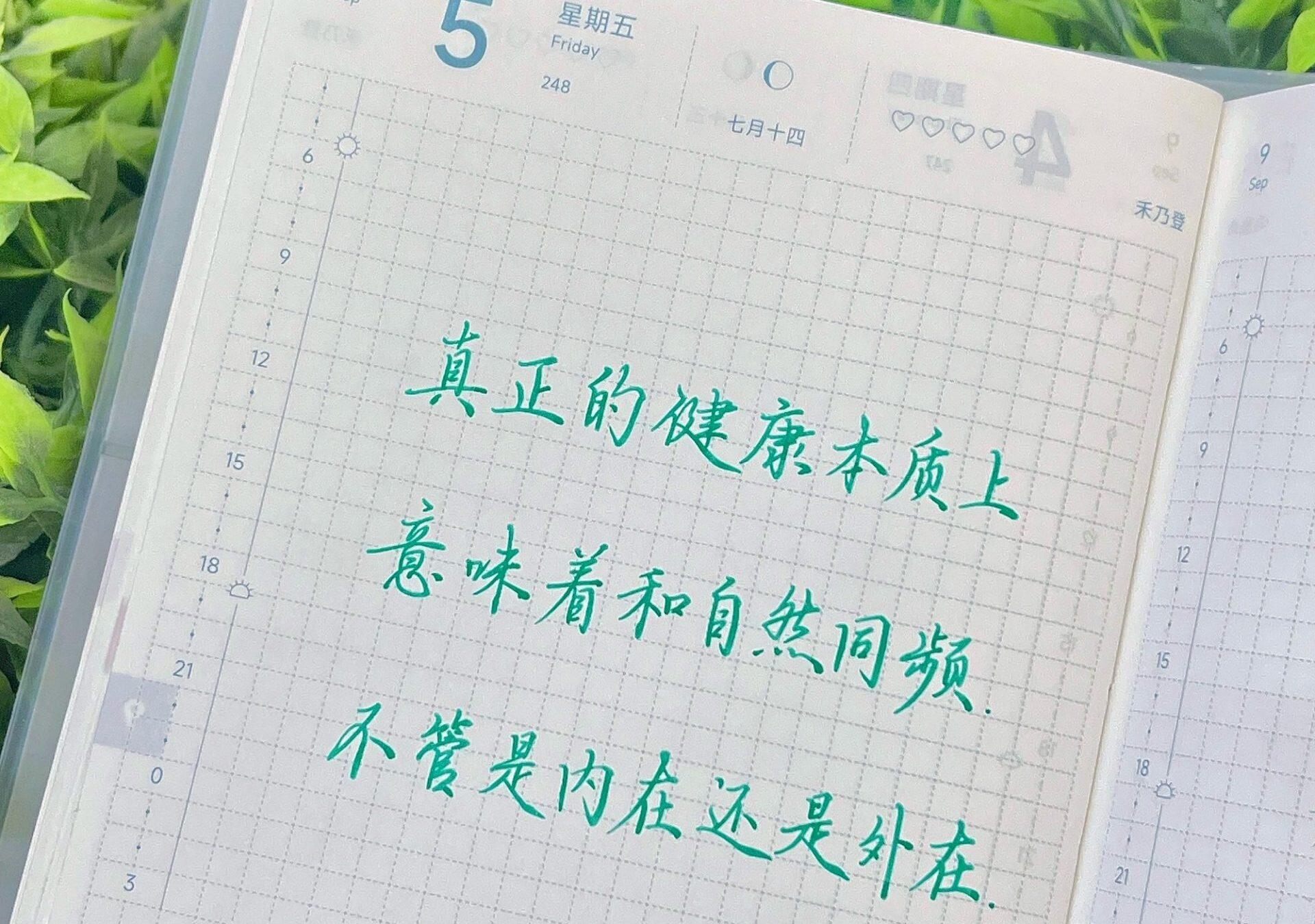 身体本就是自然的一部分