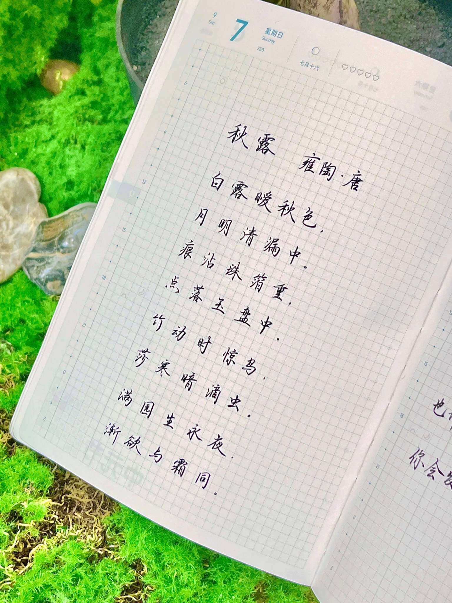 自在手帐2025年9月7日