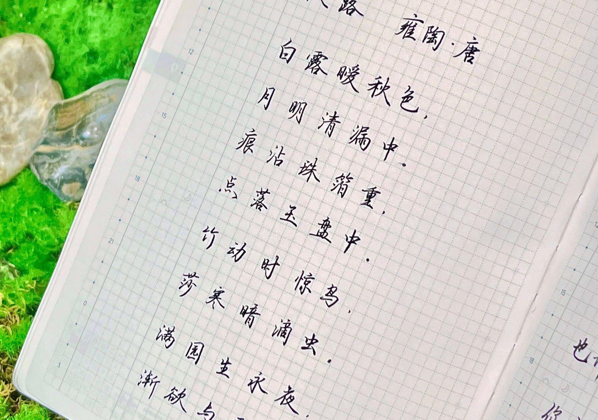 自在手帐2025年9月7日