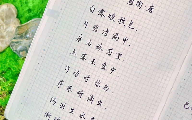 白露|二十四节气|乙巳年