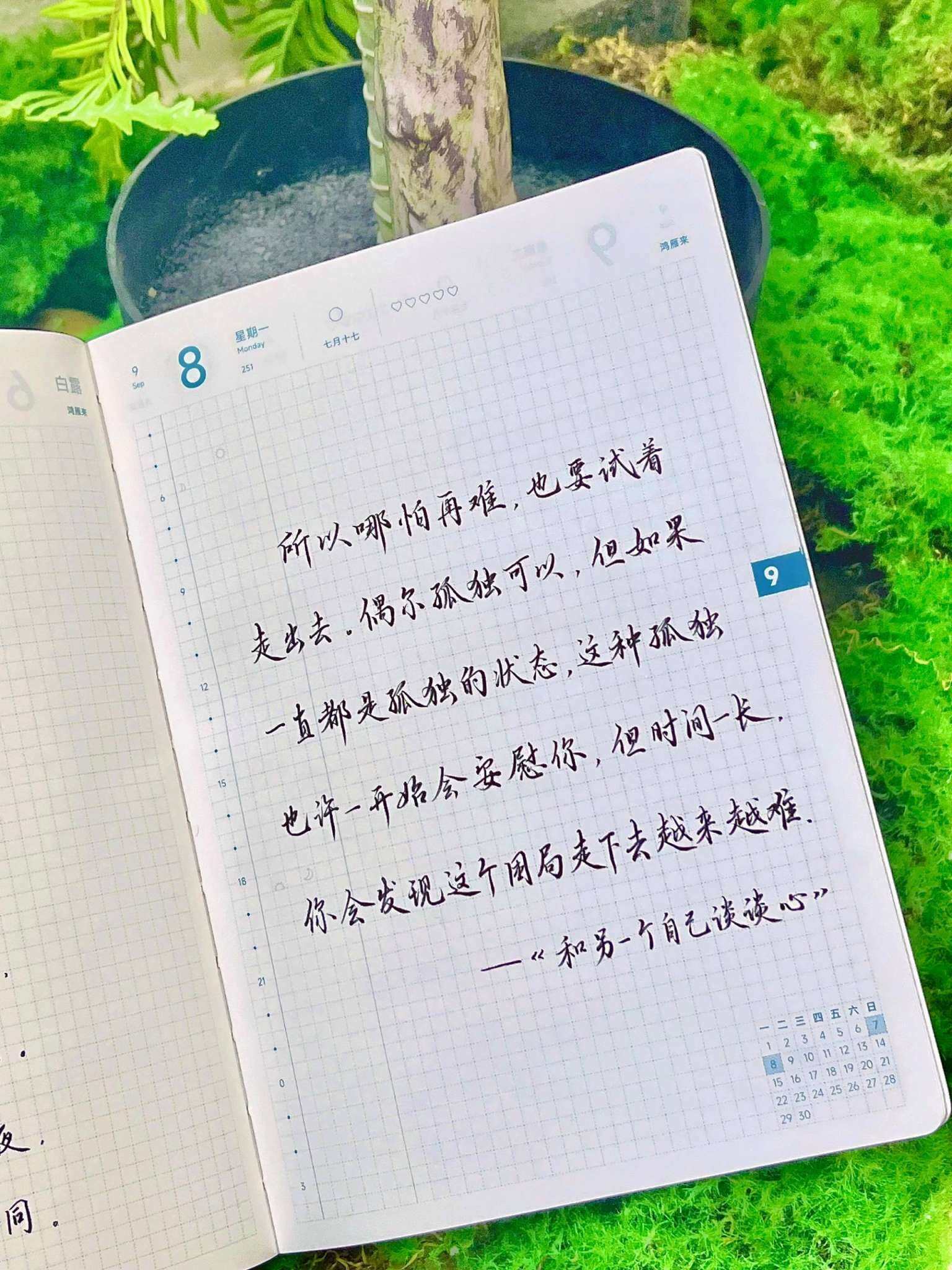 自在手帐2025年9月8日