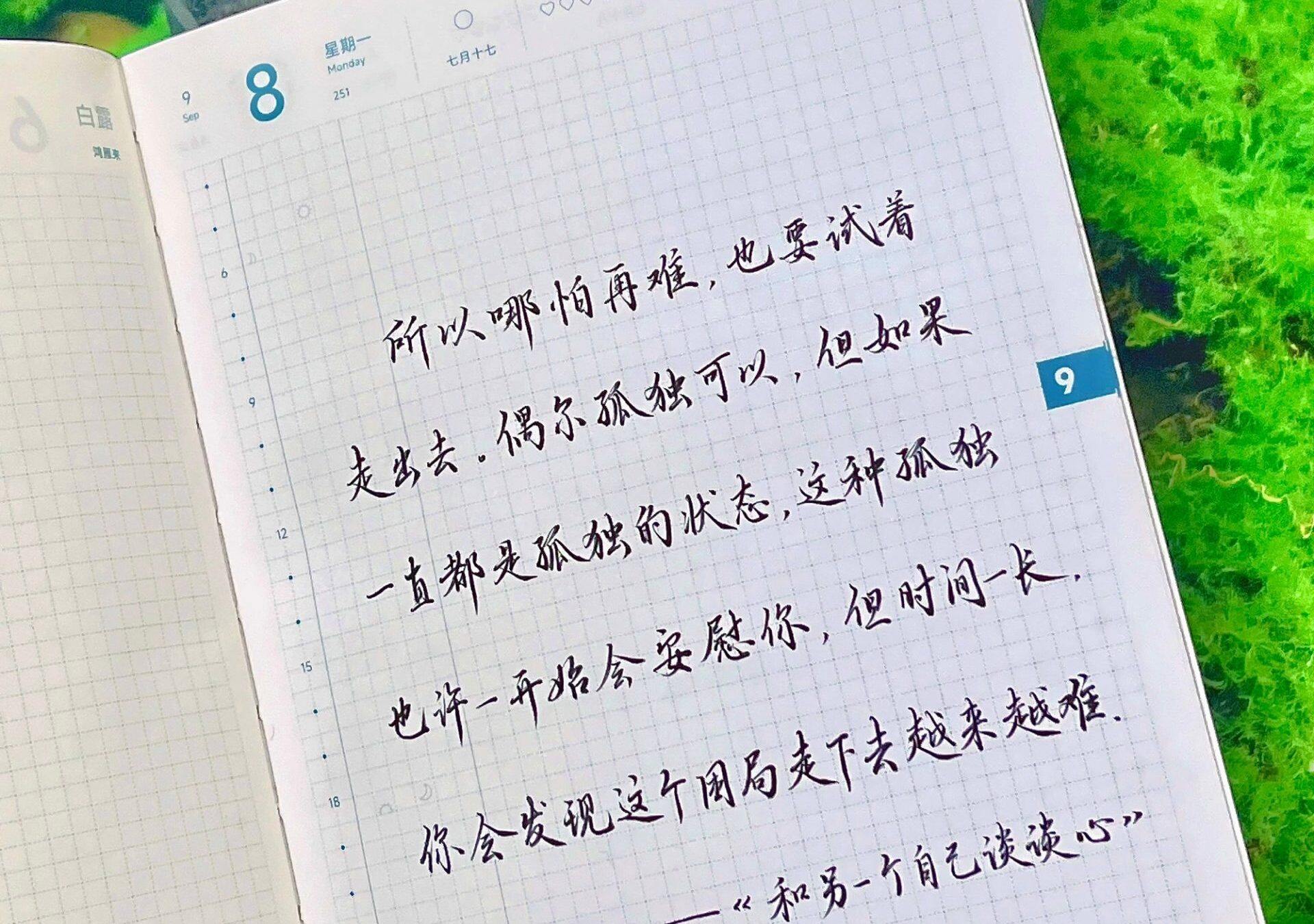 自在手帐2025年9月8日