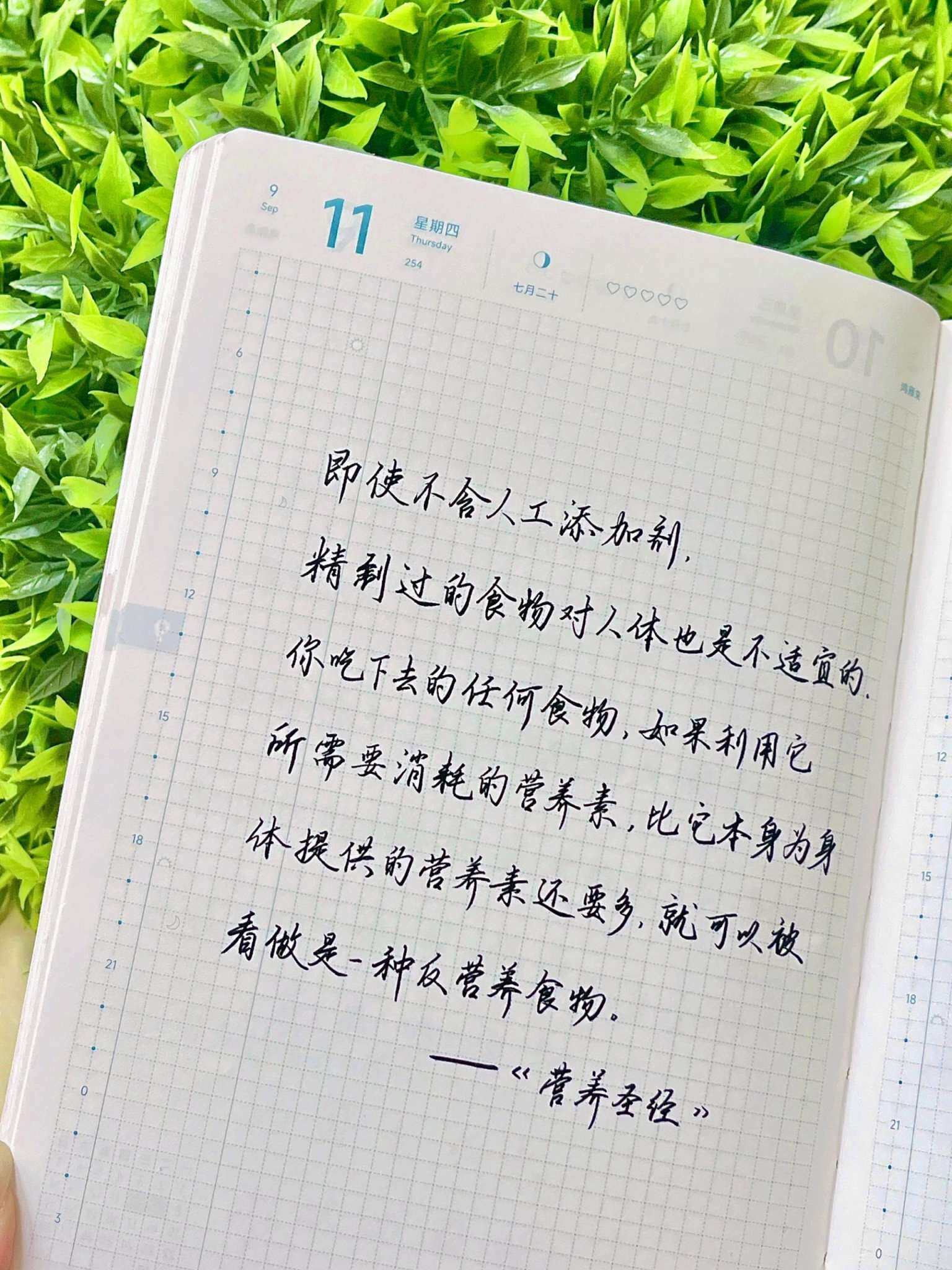 自在手帐2025年9月11日