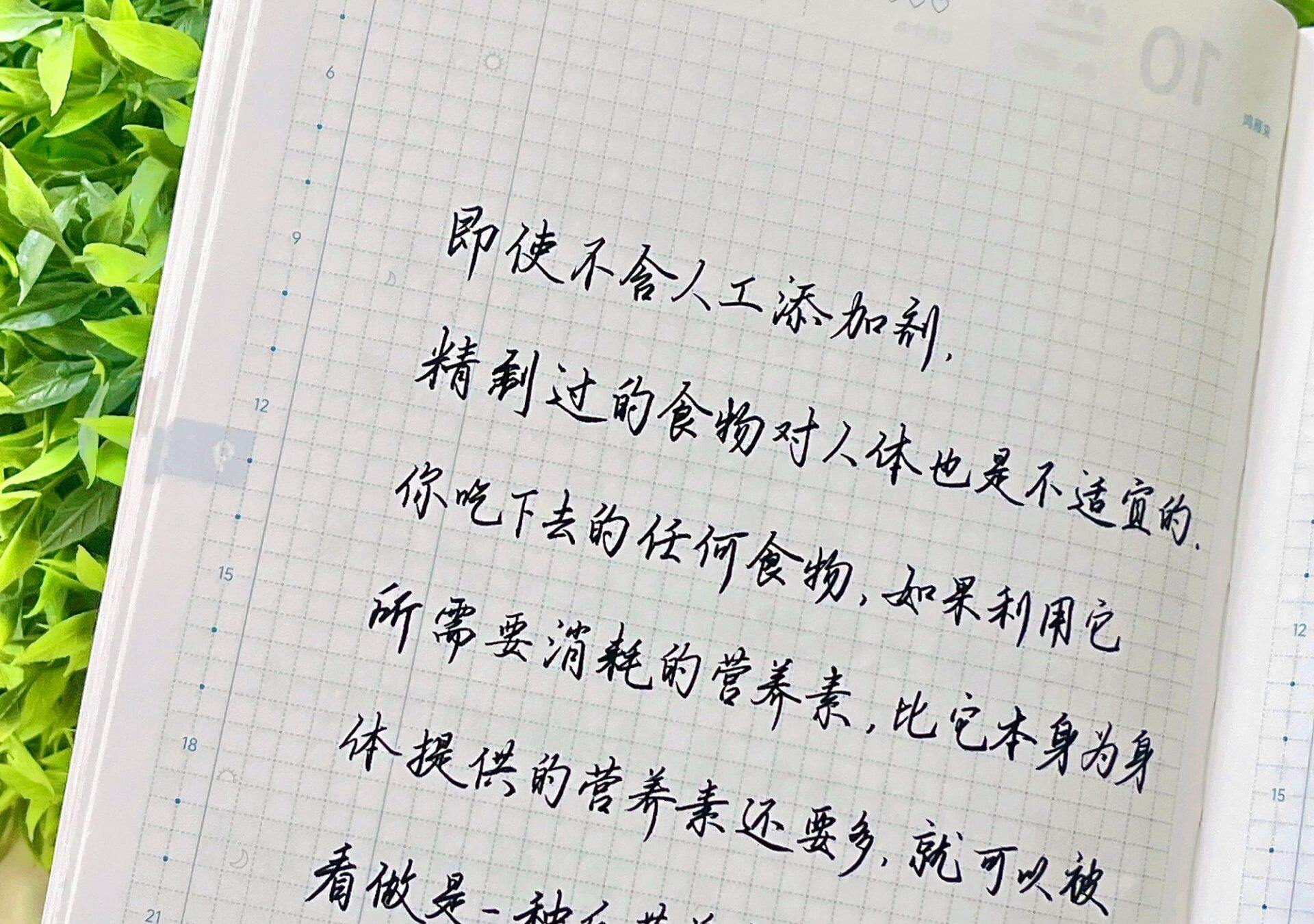 自在手帐2025年9月11日