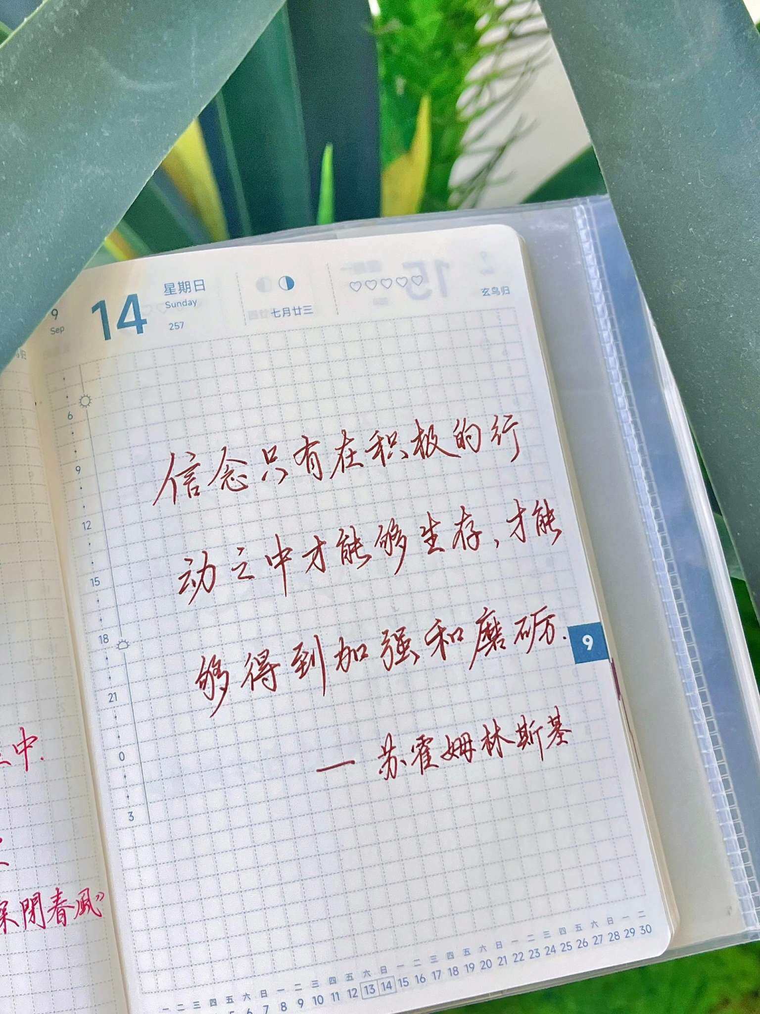 自在手帐2025年9月14日