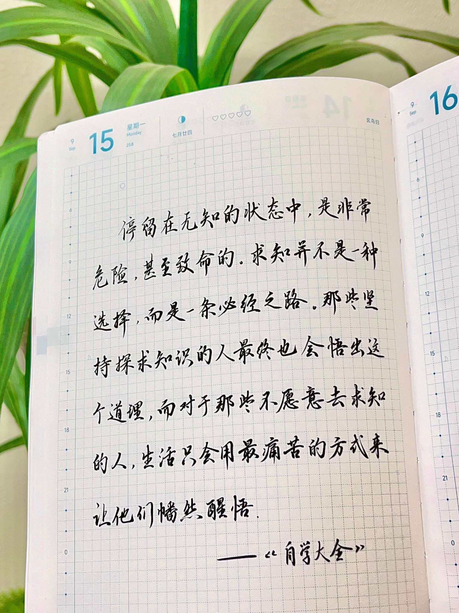 自在手帐2025年9月15日
