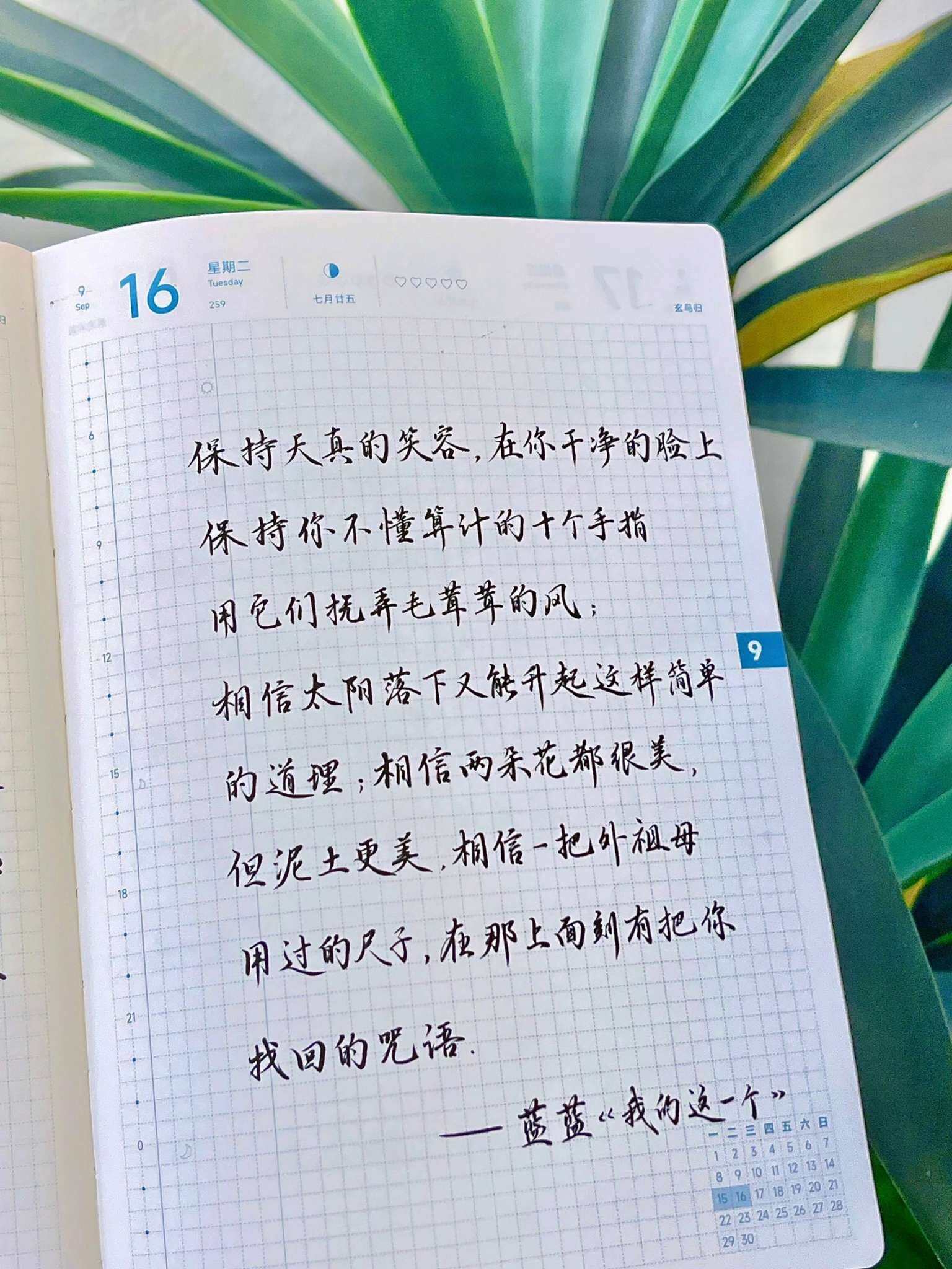 自在手帐2025年9月16日