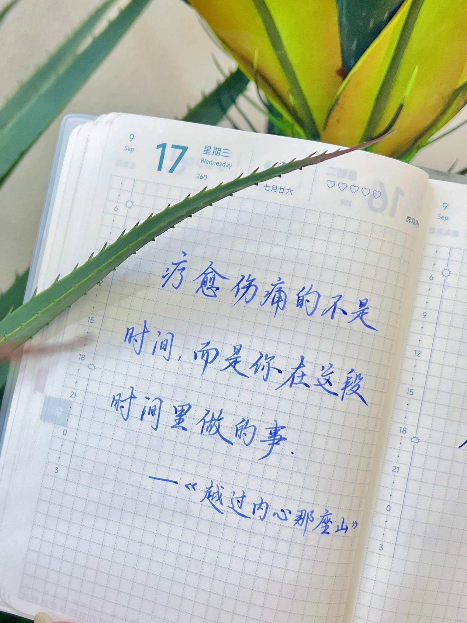 自在手帐2025年9月17日