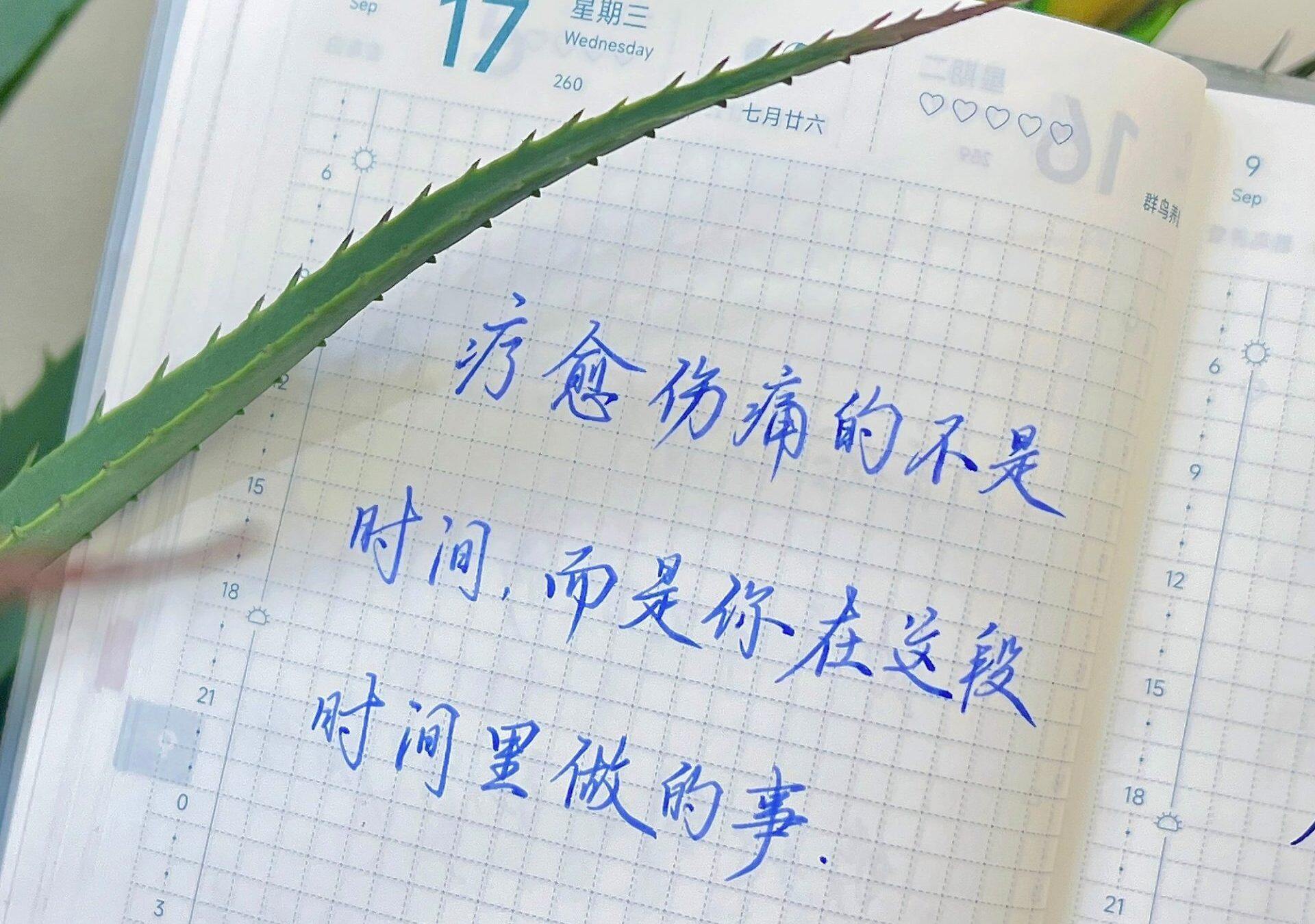 时间不会疗愈伤痛