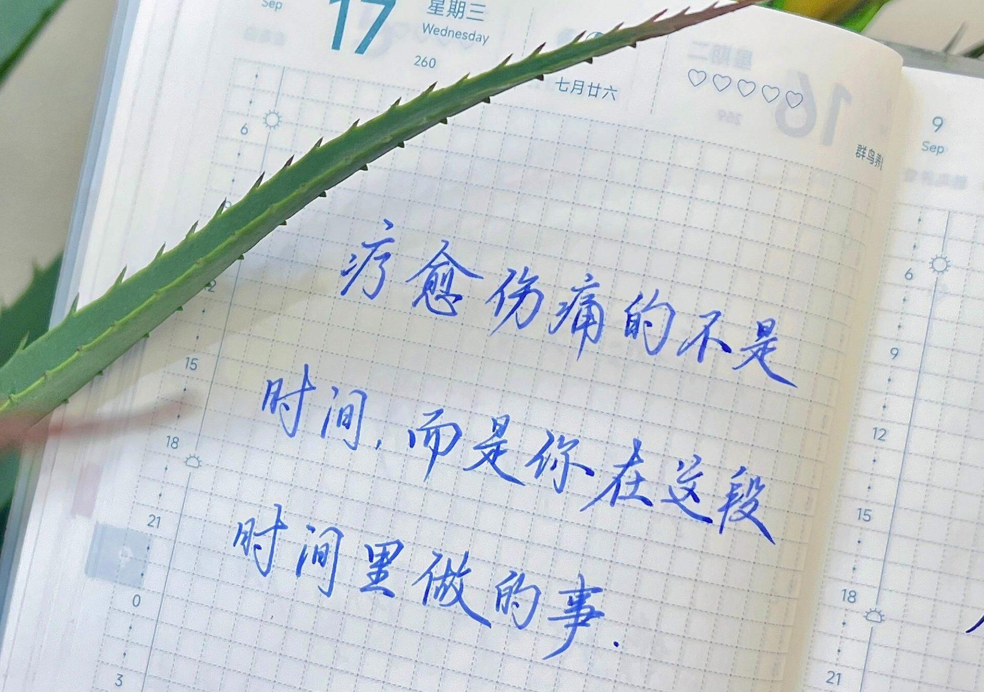 时间不会疗愈伤痛