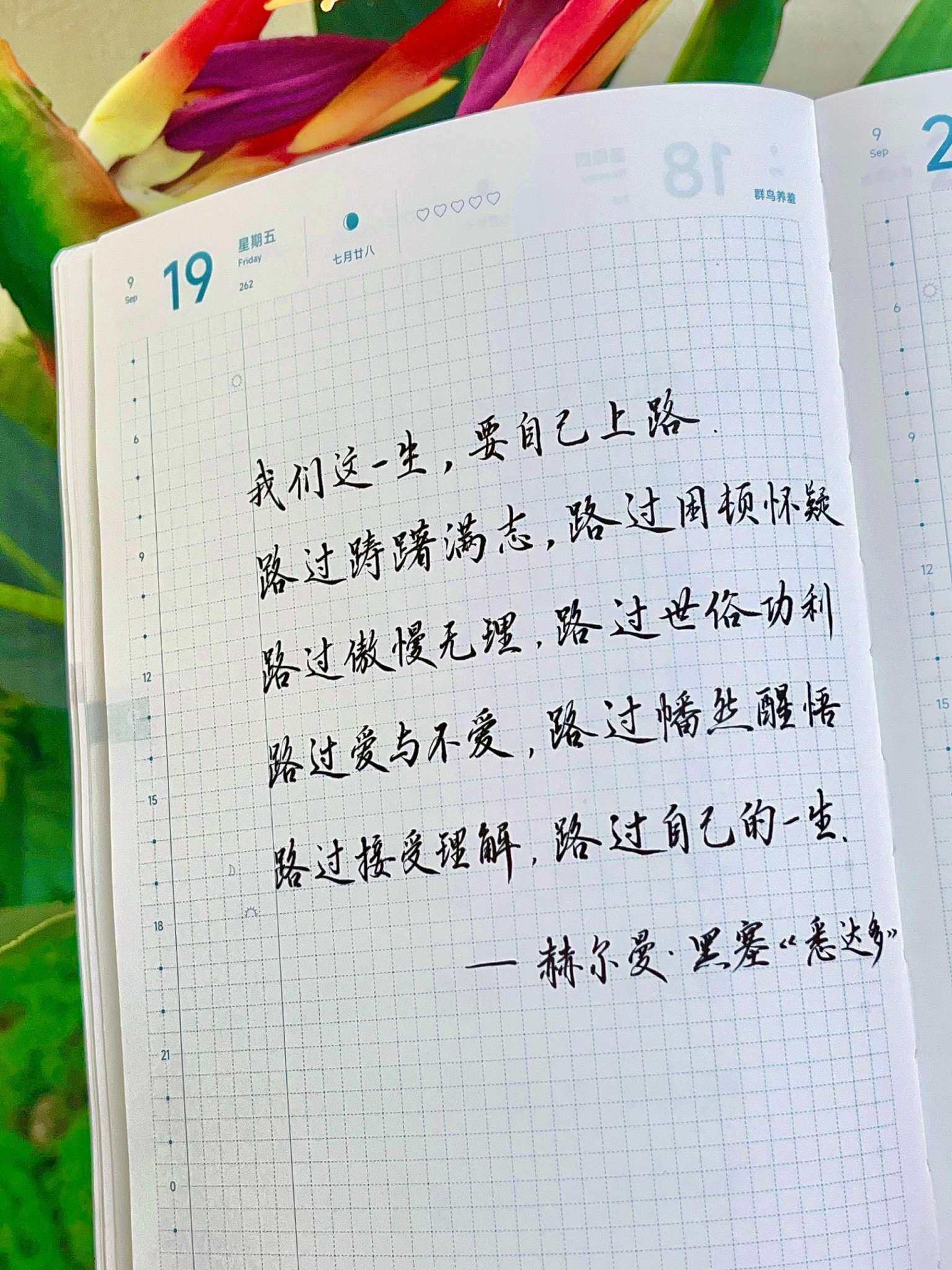 自在手帐2025年9月19日