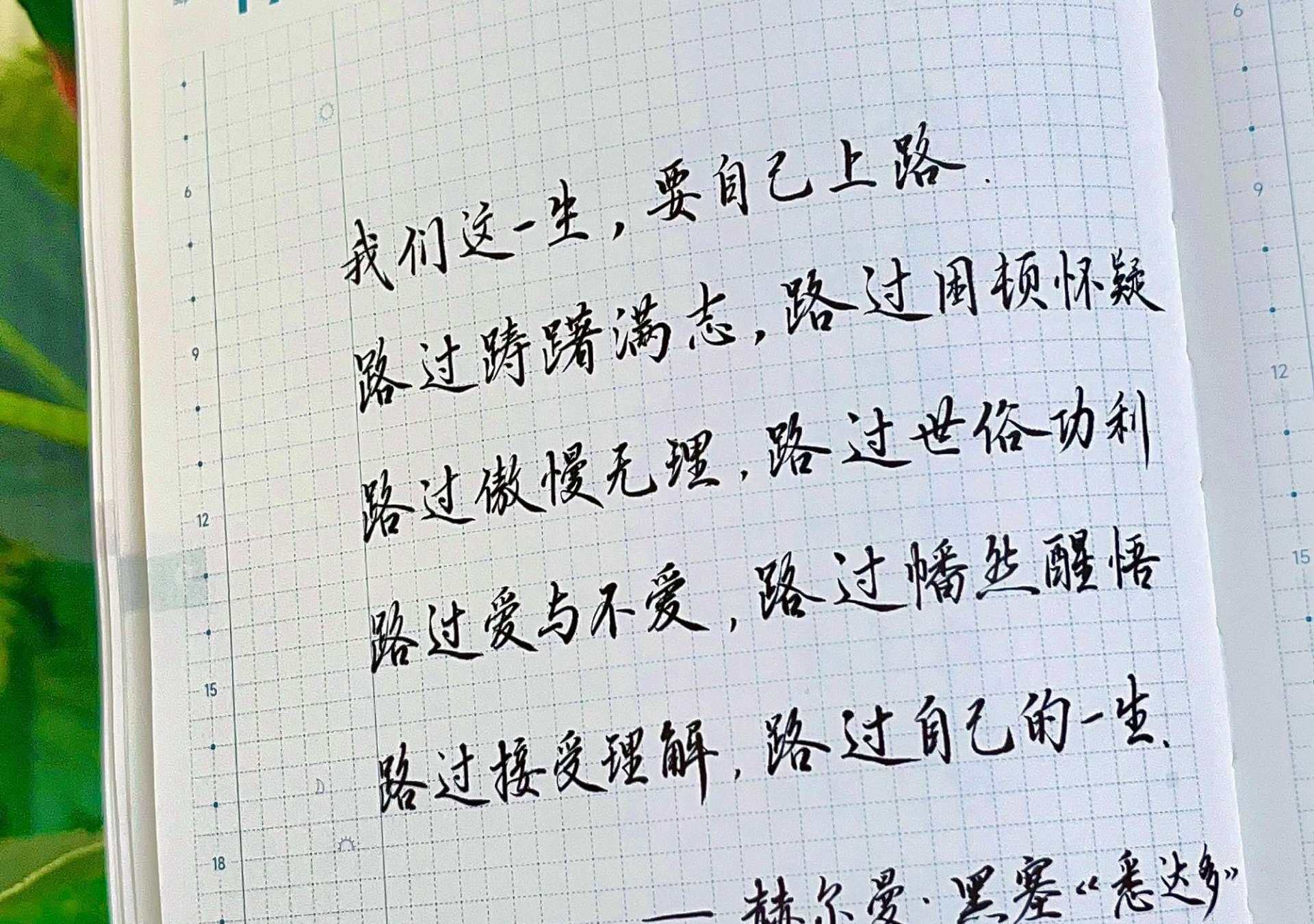 学会自己上路