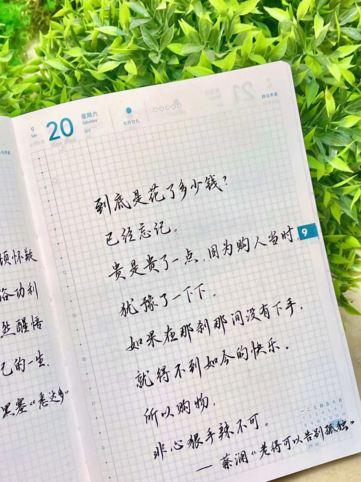 自在手帐2025年9月20日