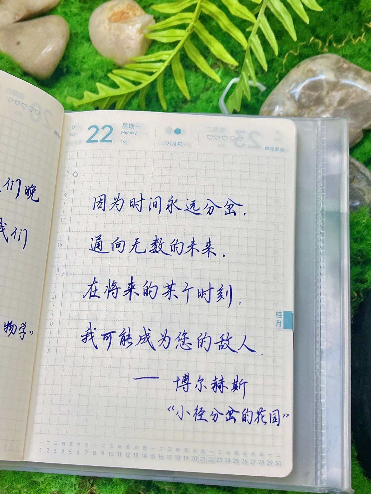 自在手帐2025年9月22日