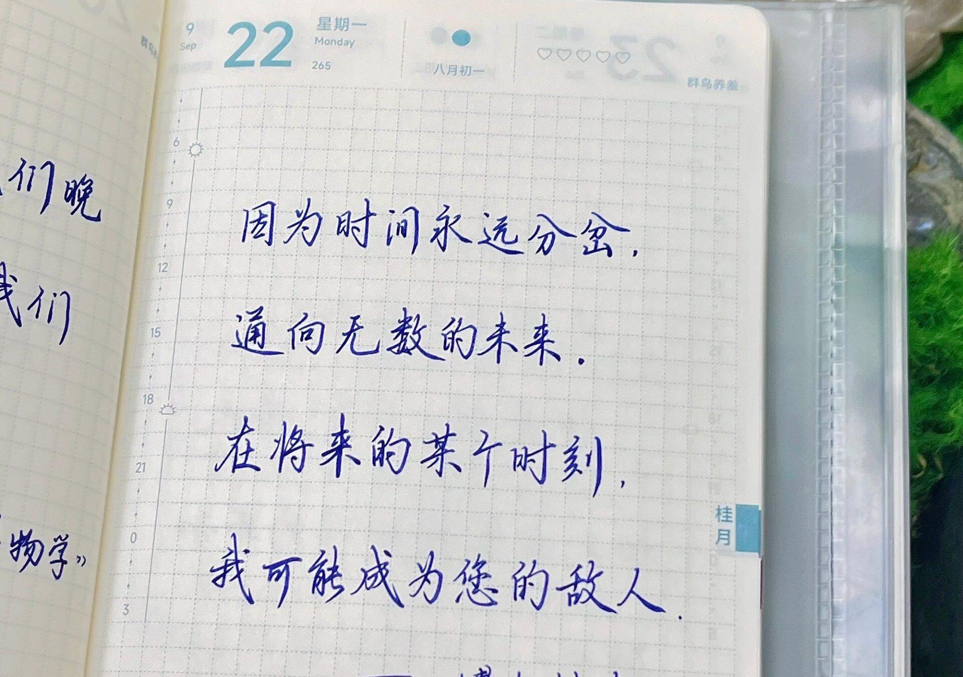 每个选择都在创造平行宇宙