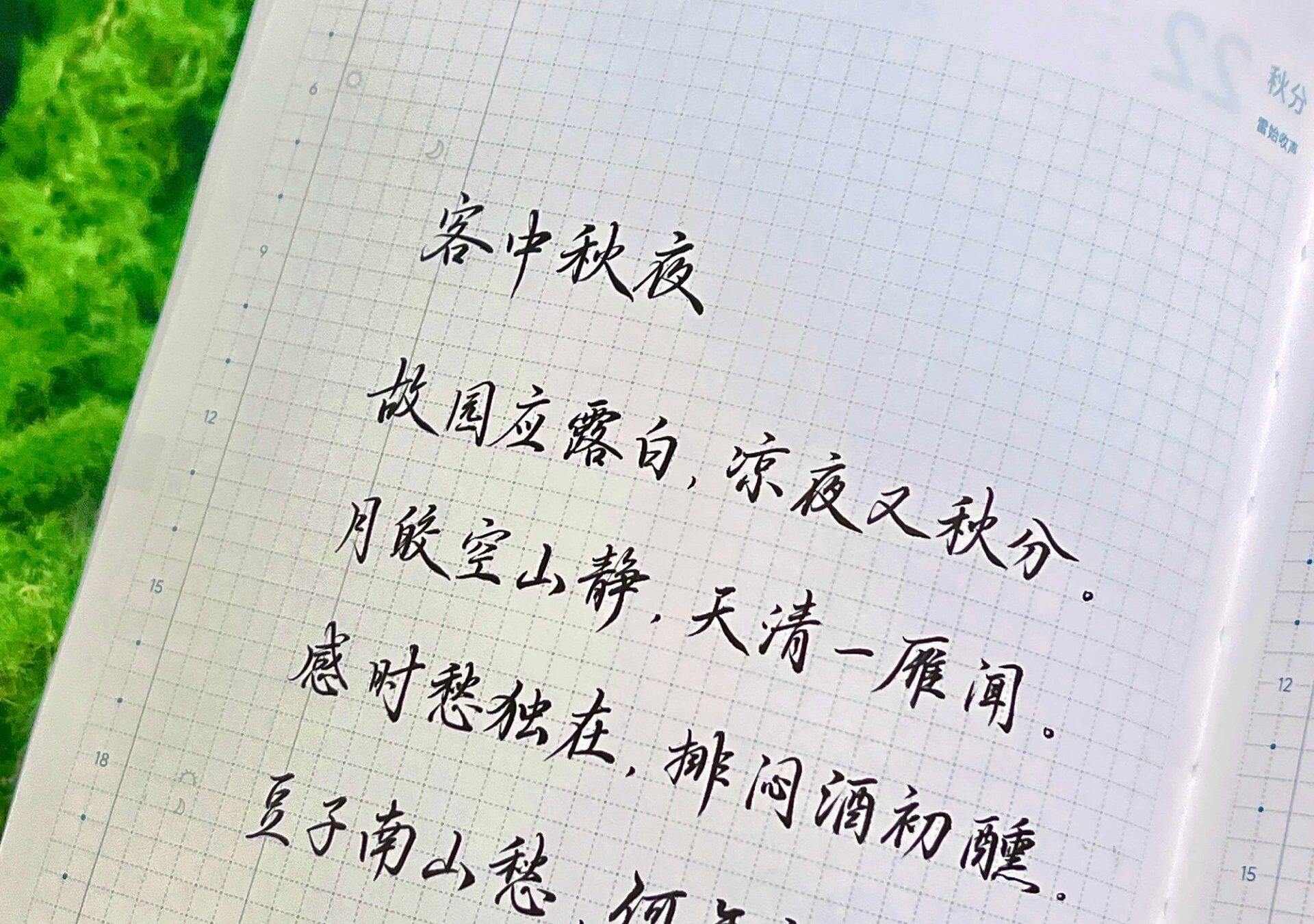 秋分|二十四节气|乙巳年