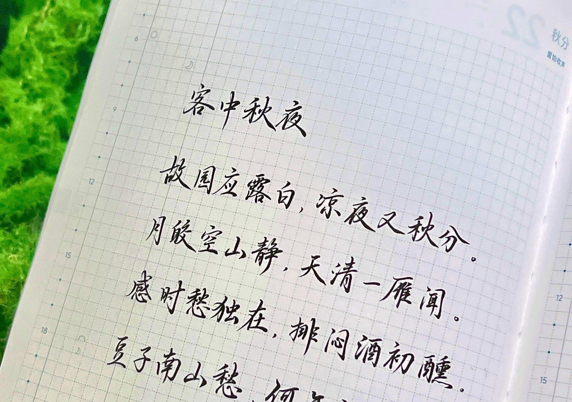 秋分|二十四节气|乙巳年