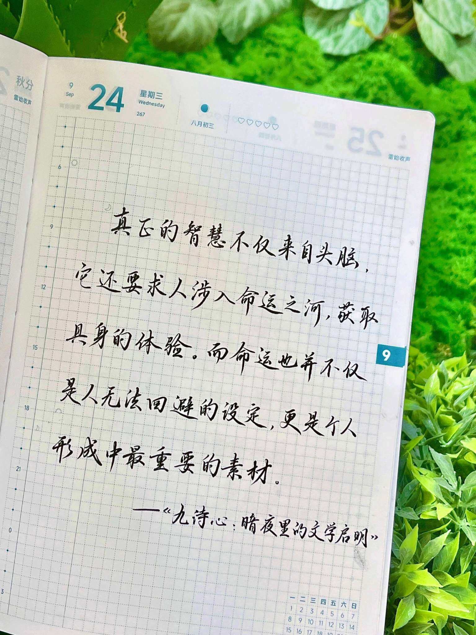 自在手帐2026年9月24日