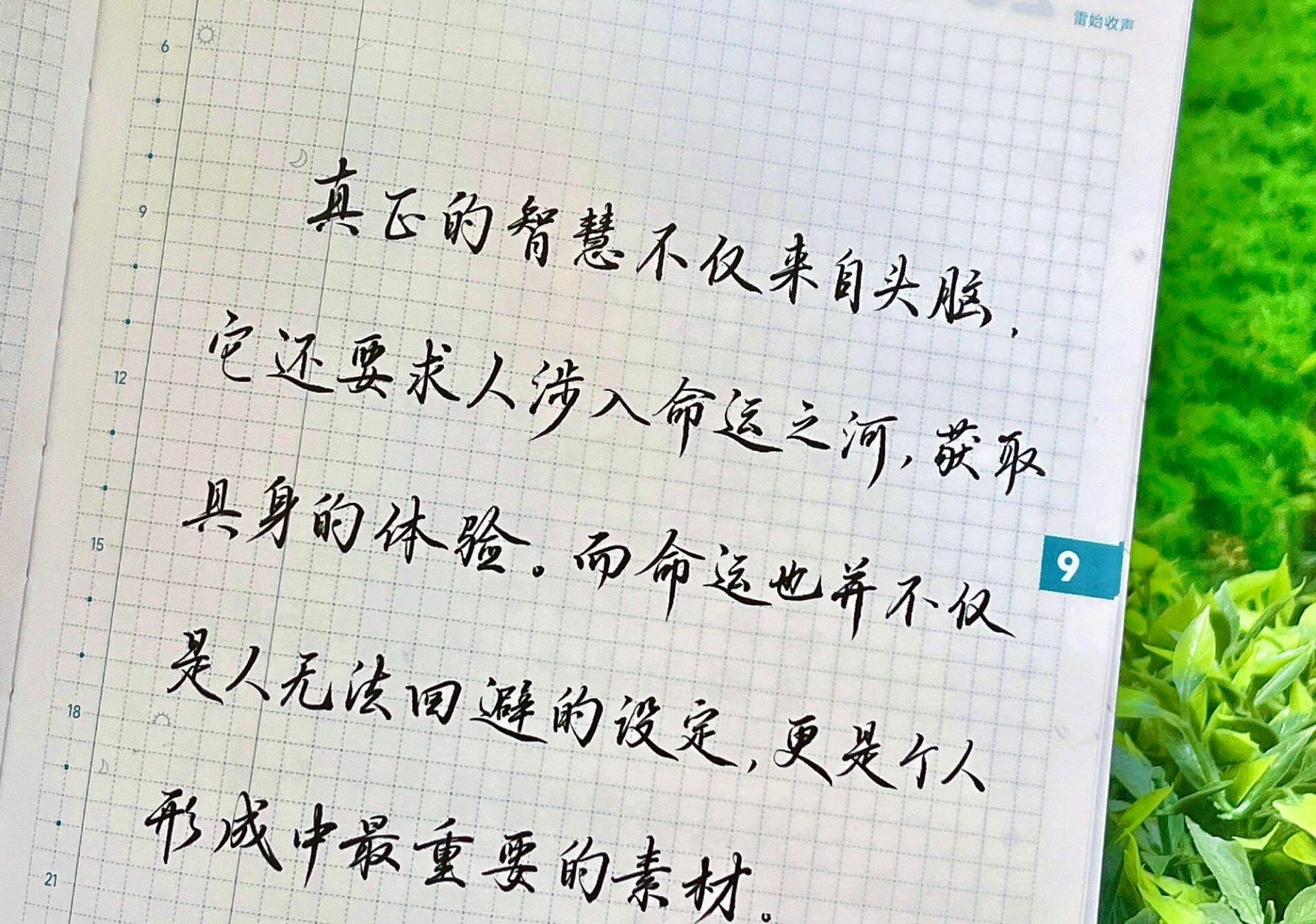 真正的智慧来自……