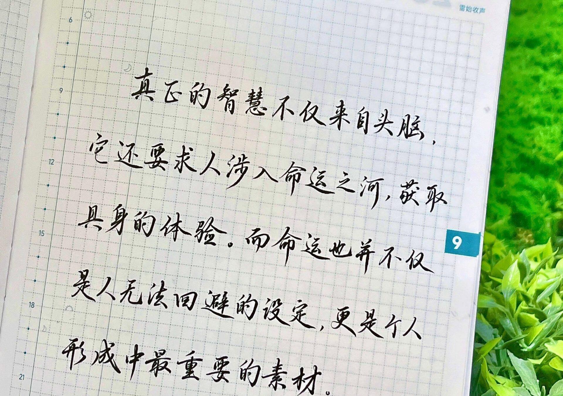 真正的智慧来自......