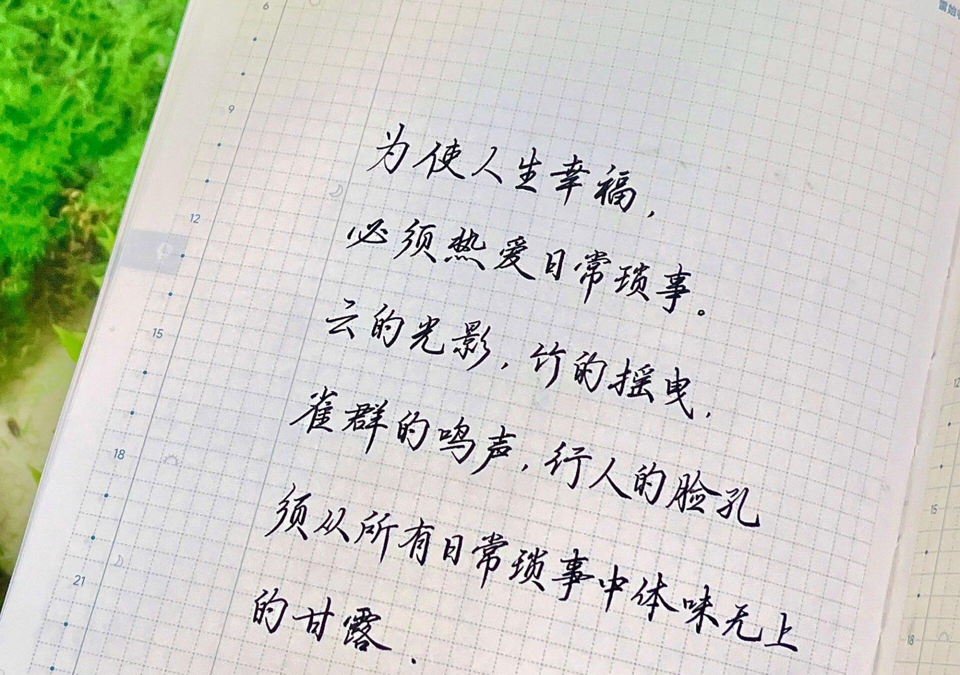 幸福藏在日常里