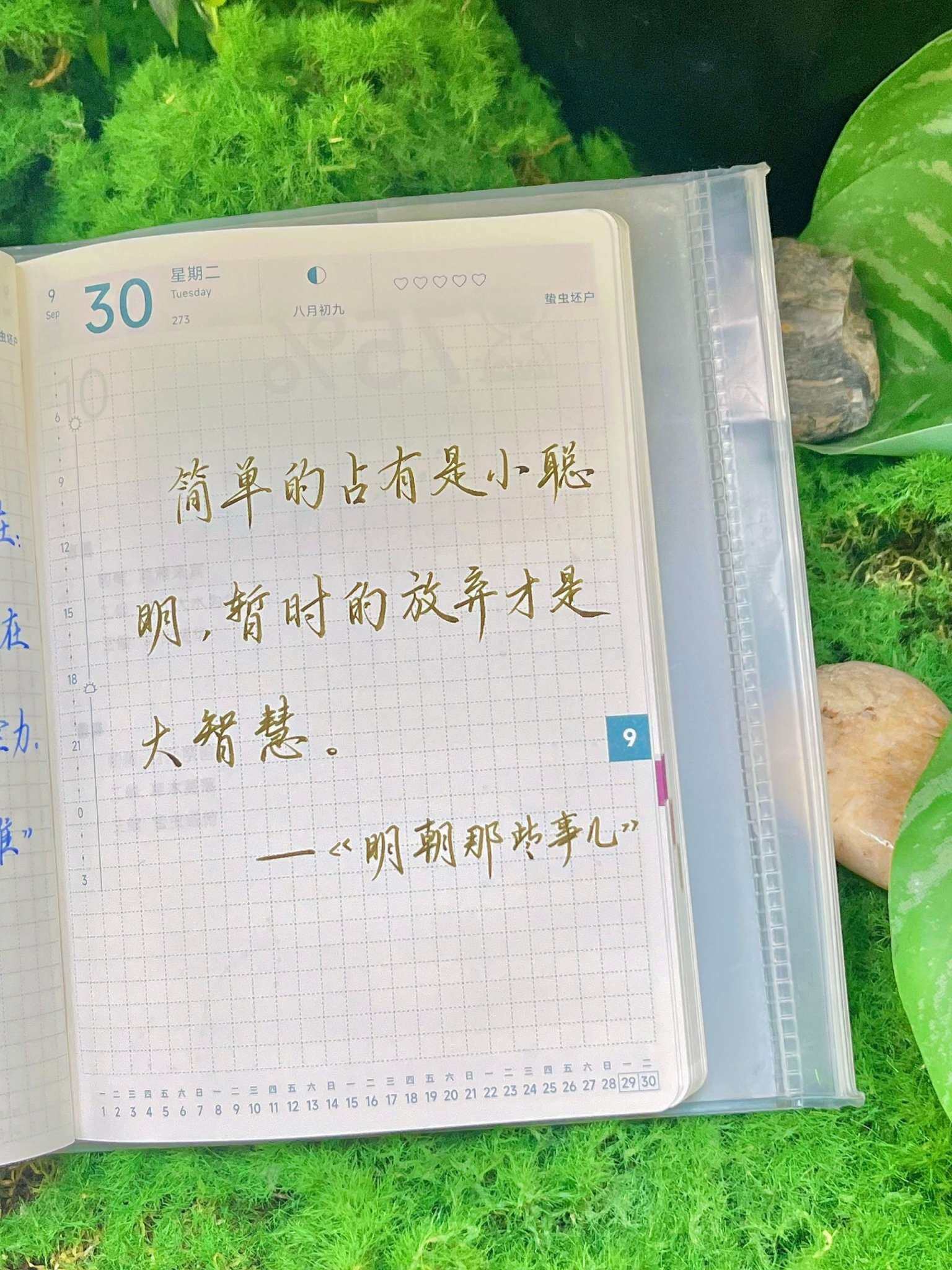 自在手帐2025年9月30日