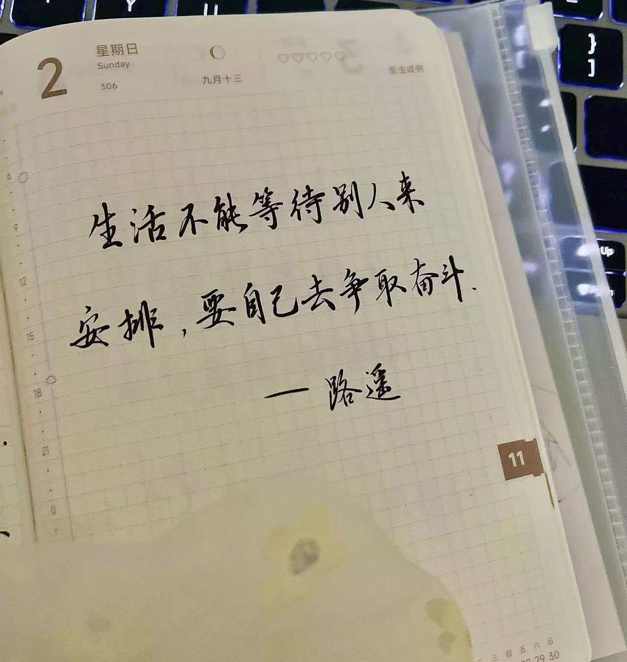 别等安排，你才是生活的总导演