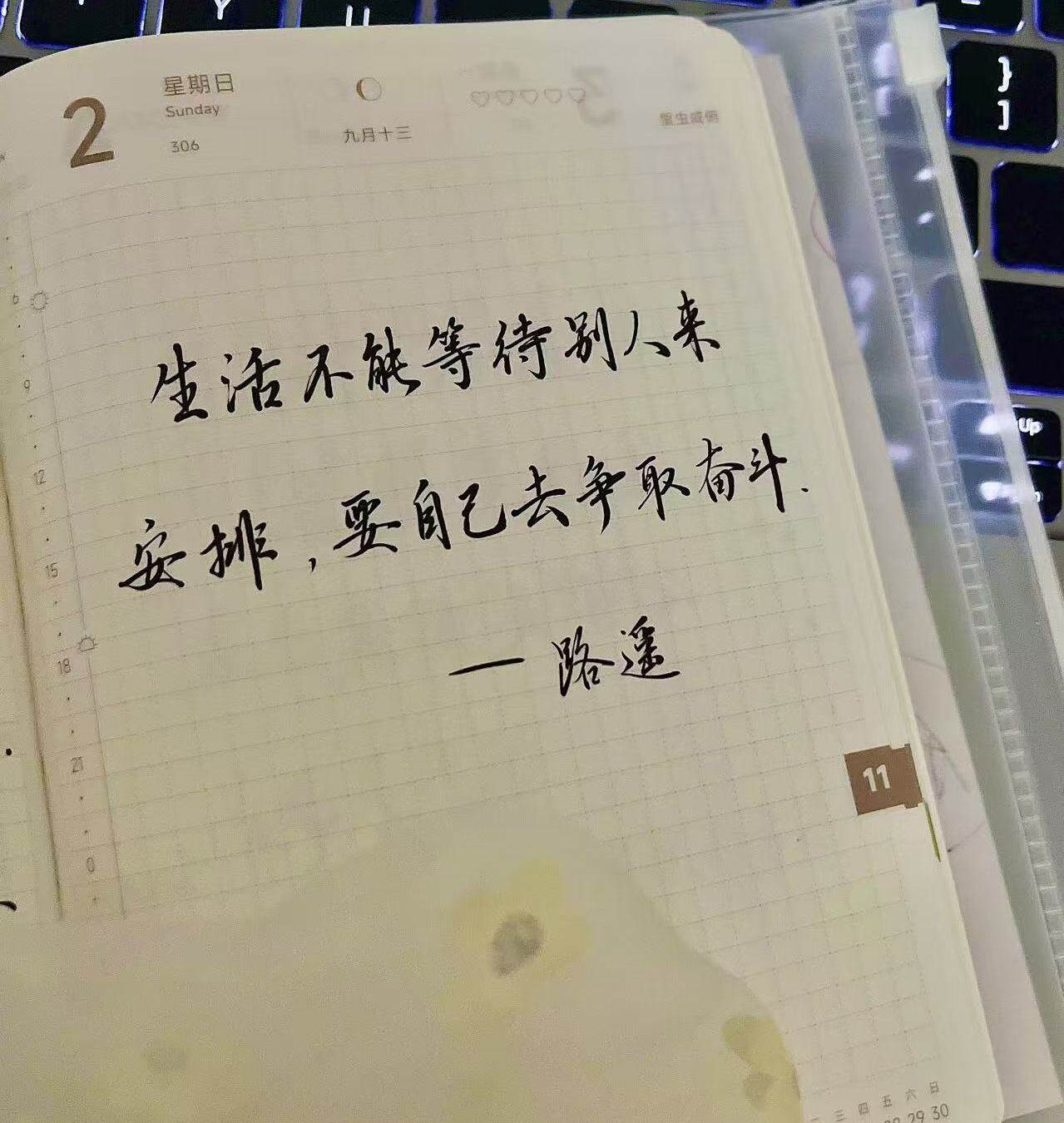 别等安排，你才是生活的总导演