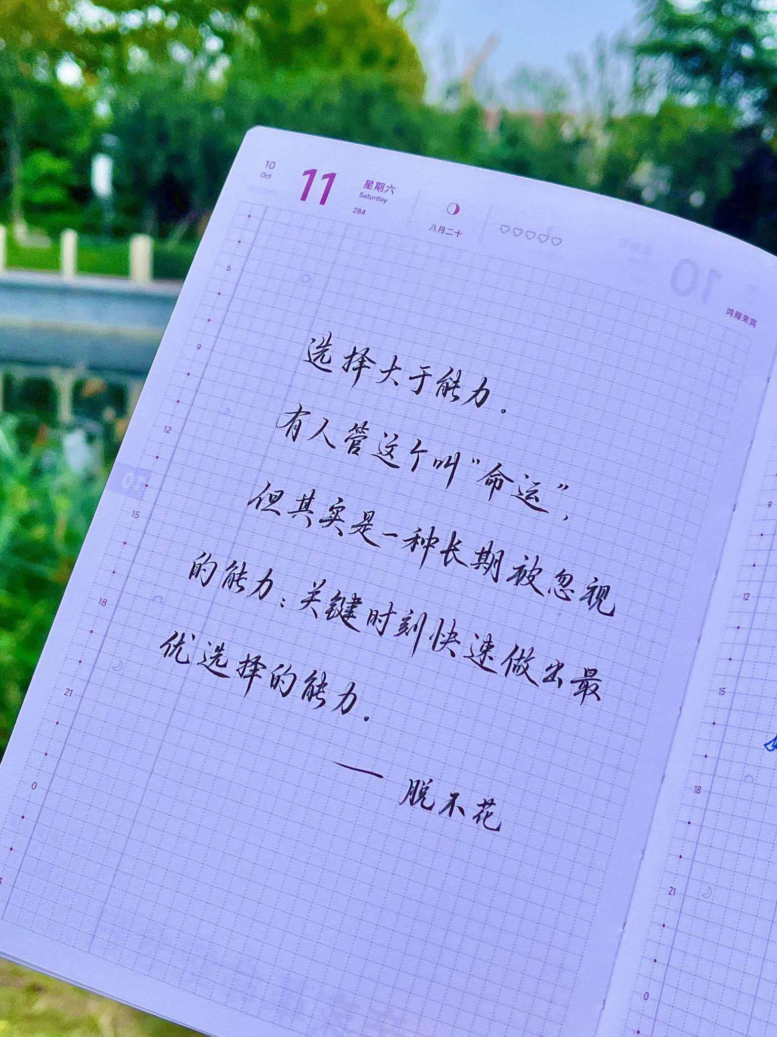 自在手帐2025年10月11日