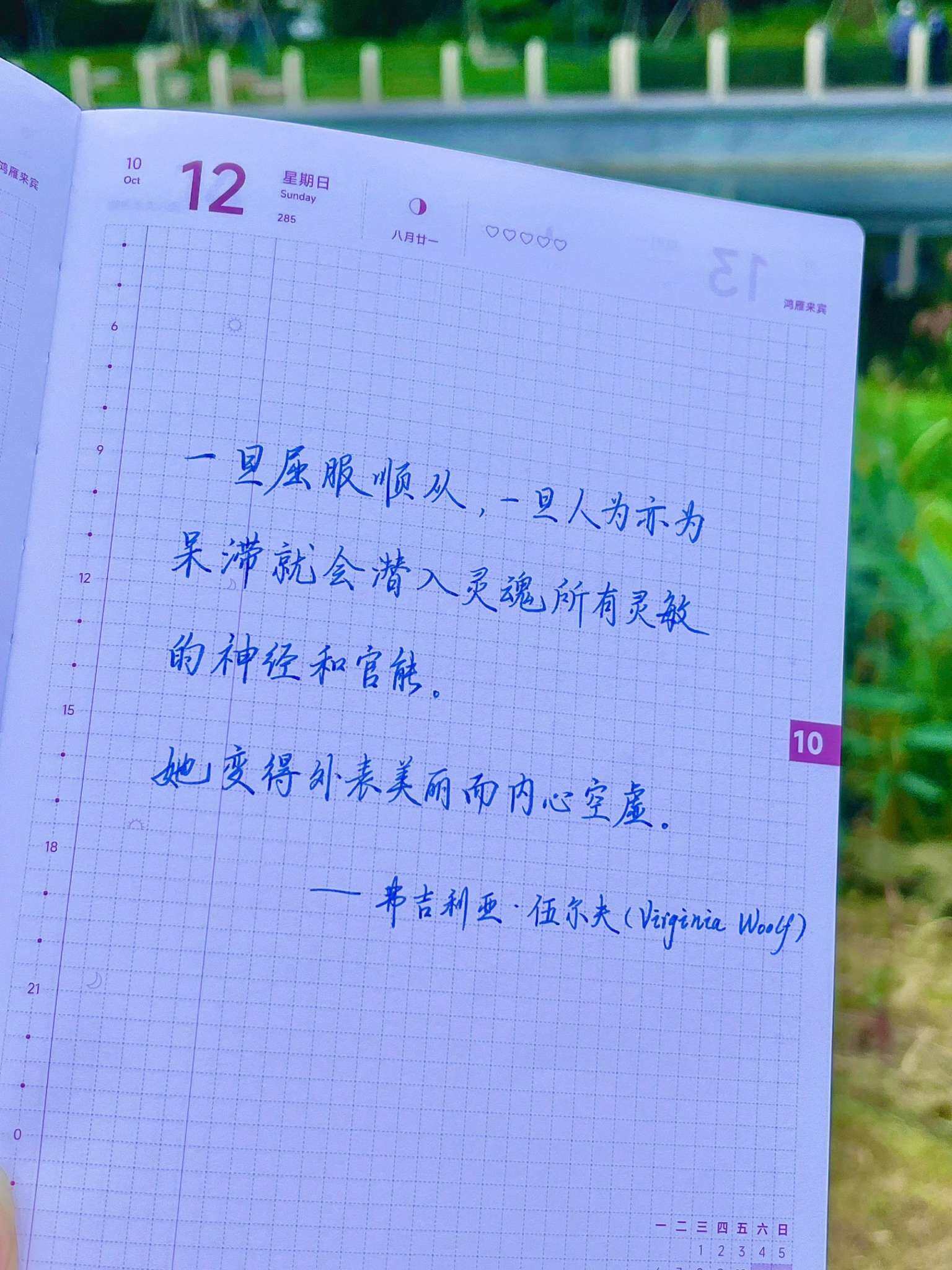 自在手帐2025年10月12日