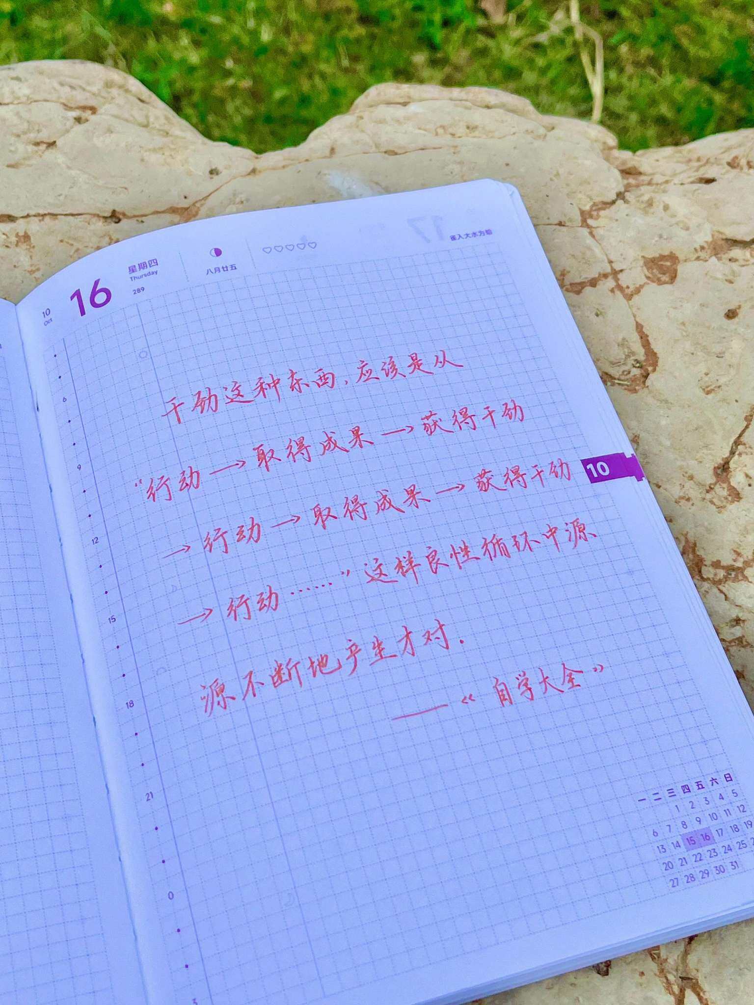 自在手帐2025年10月16日