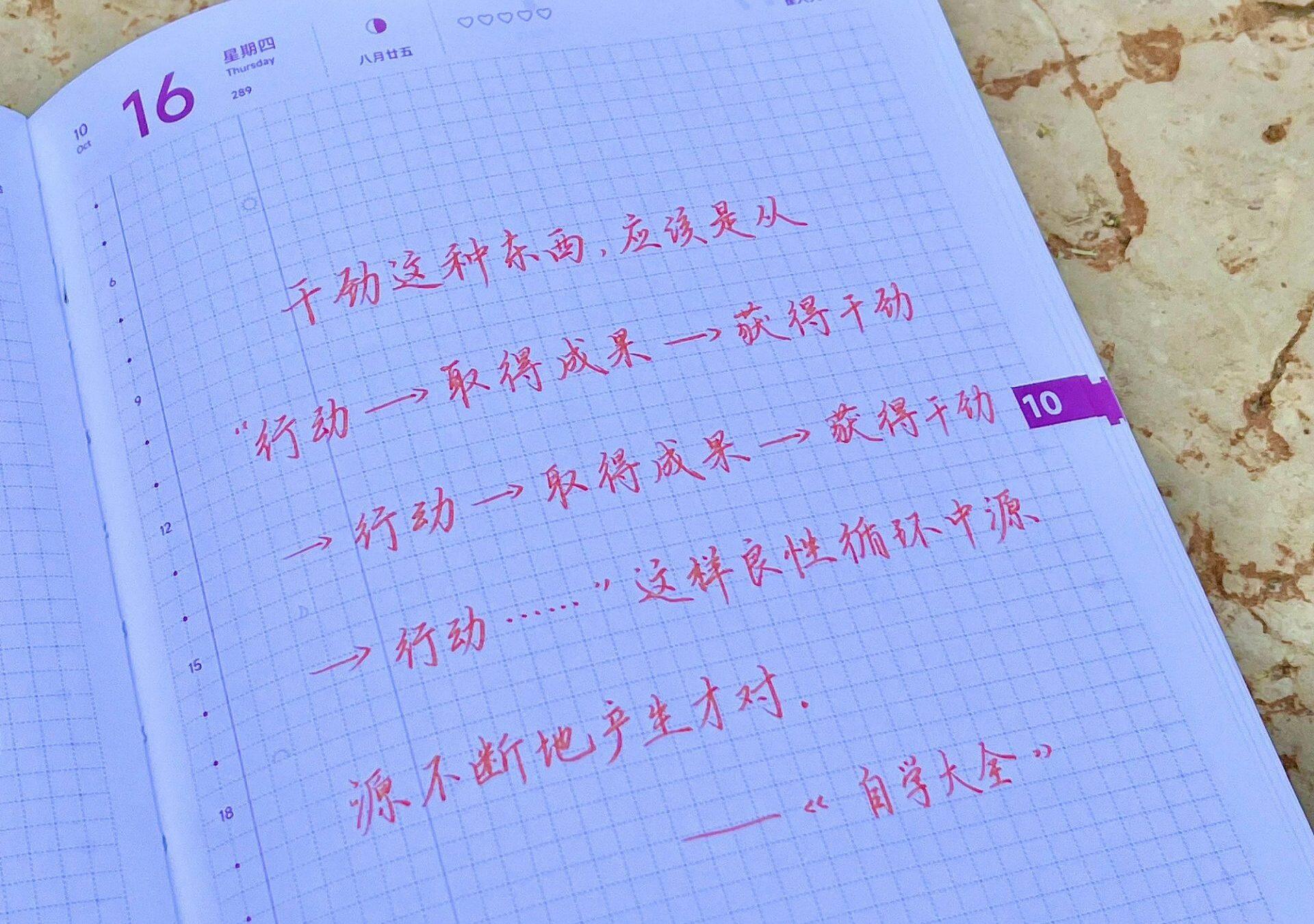 行动派一招制敌