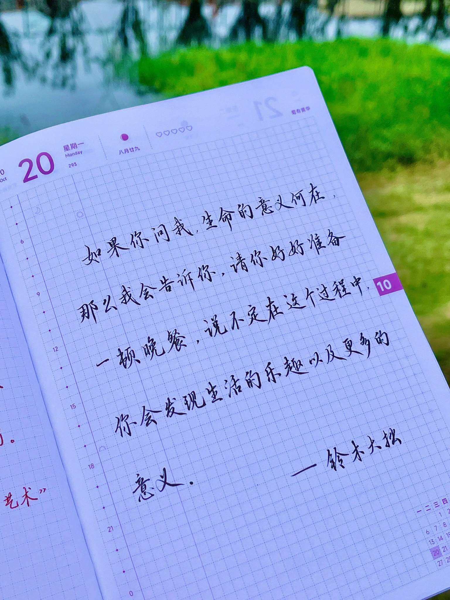自在手帐2025年10月20日