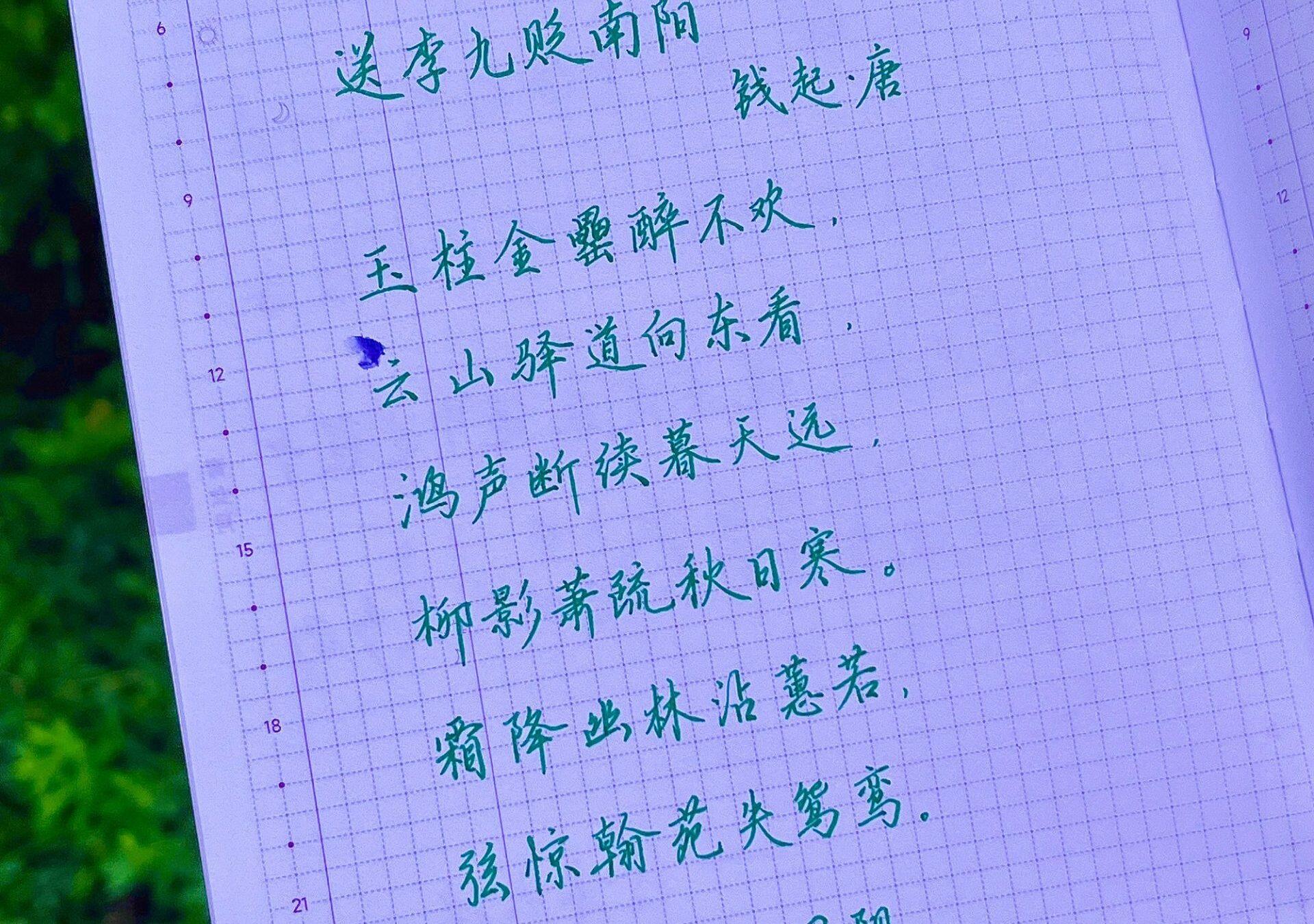 霜降|二十四节气|乙巳年