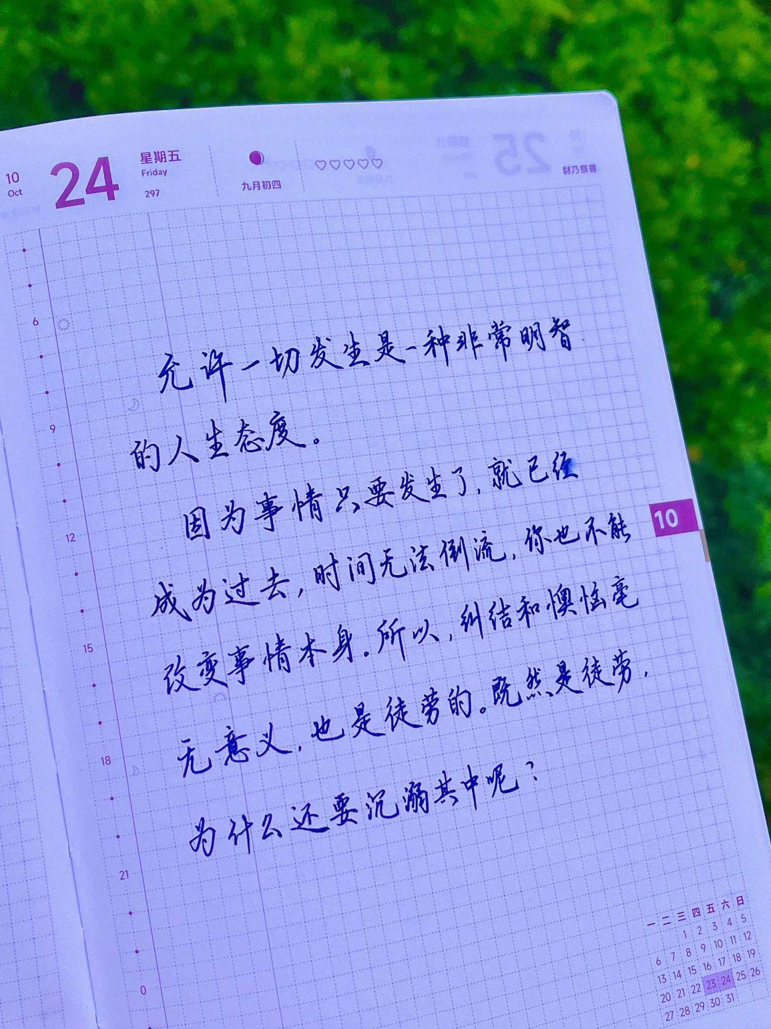 自在手帐2025年10月24日