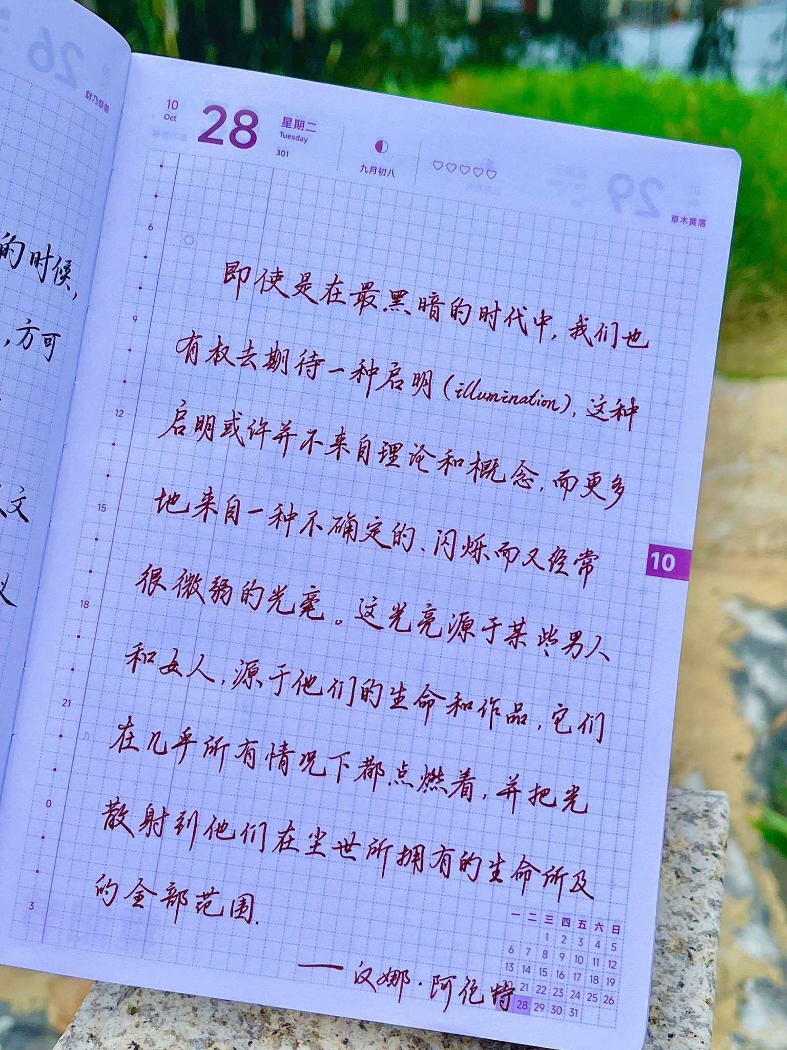 自在手帐2025年10月28日
