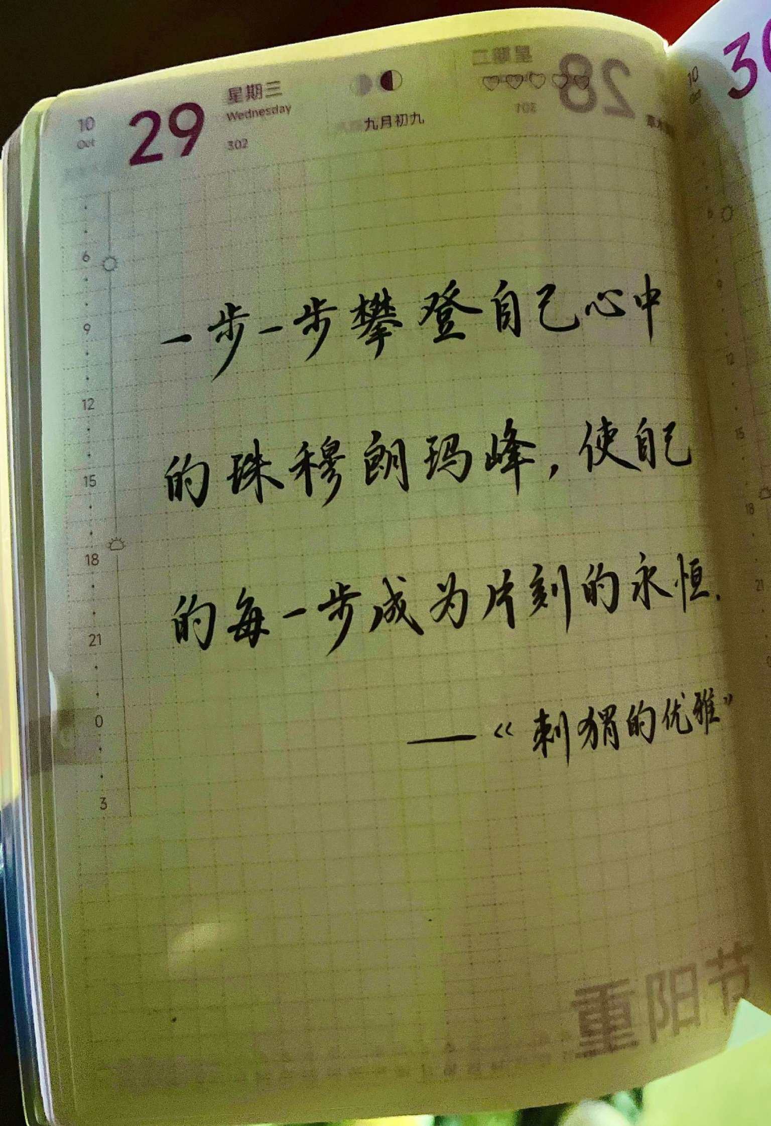 自在手帐2025年10月29日