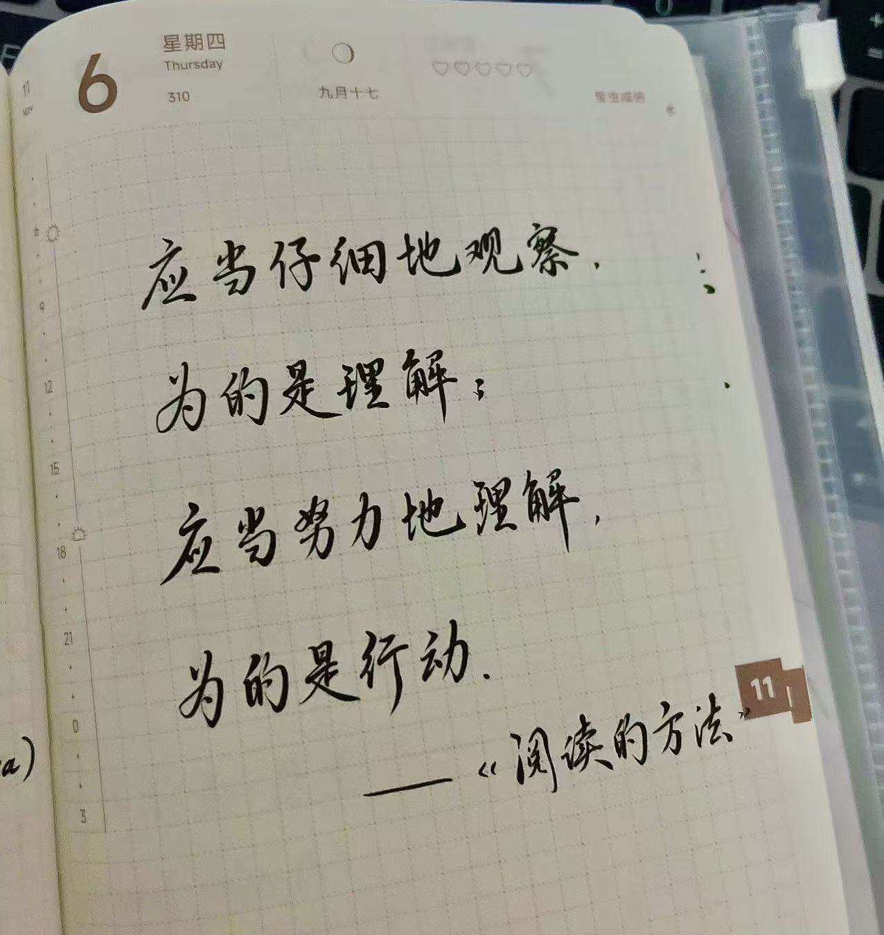 仔细观察，努力理解