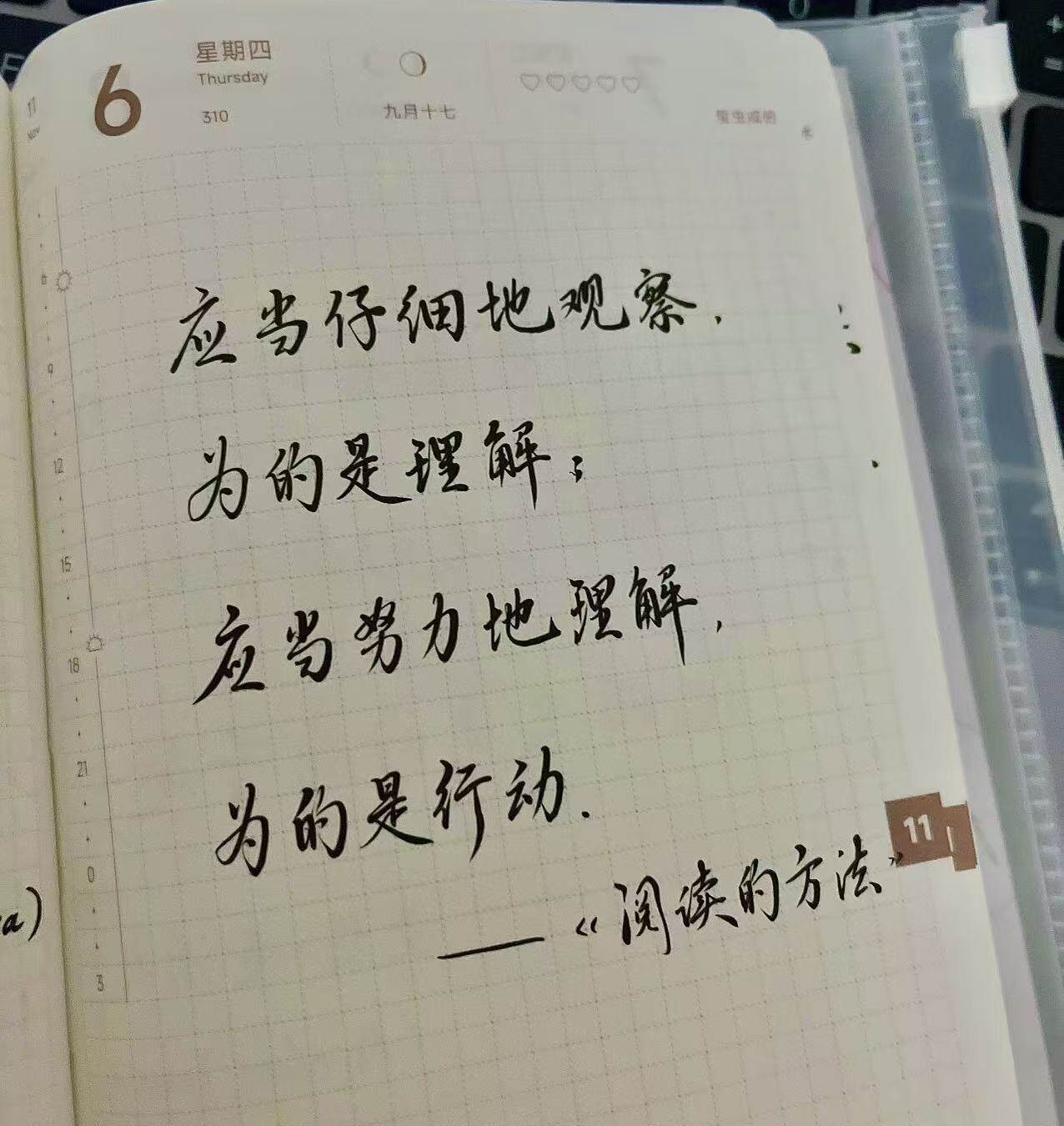 仔细观察，努力理解