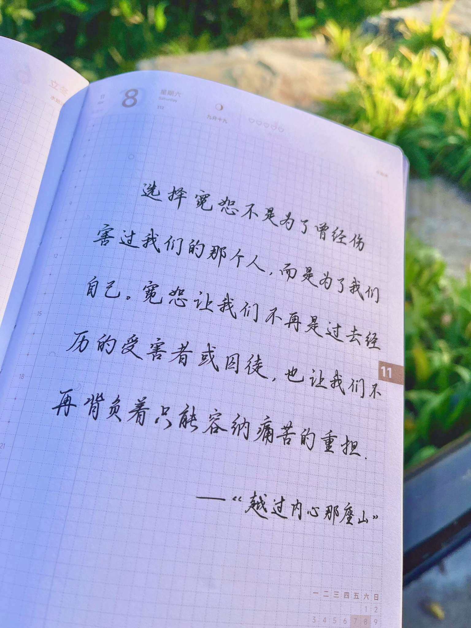 自在手帐2025年11月8日