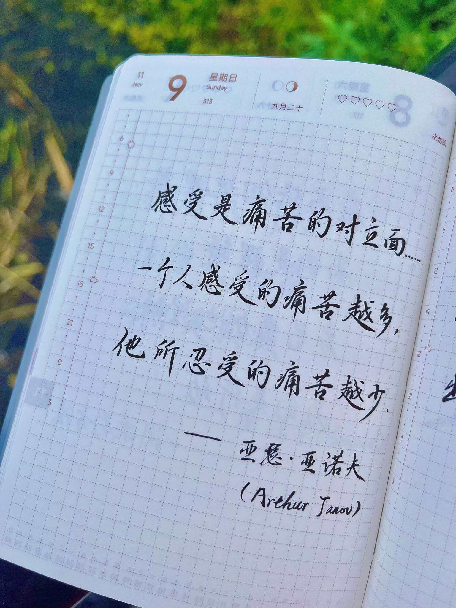 自在手帐2025年11月9日