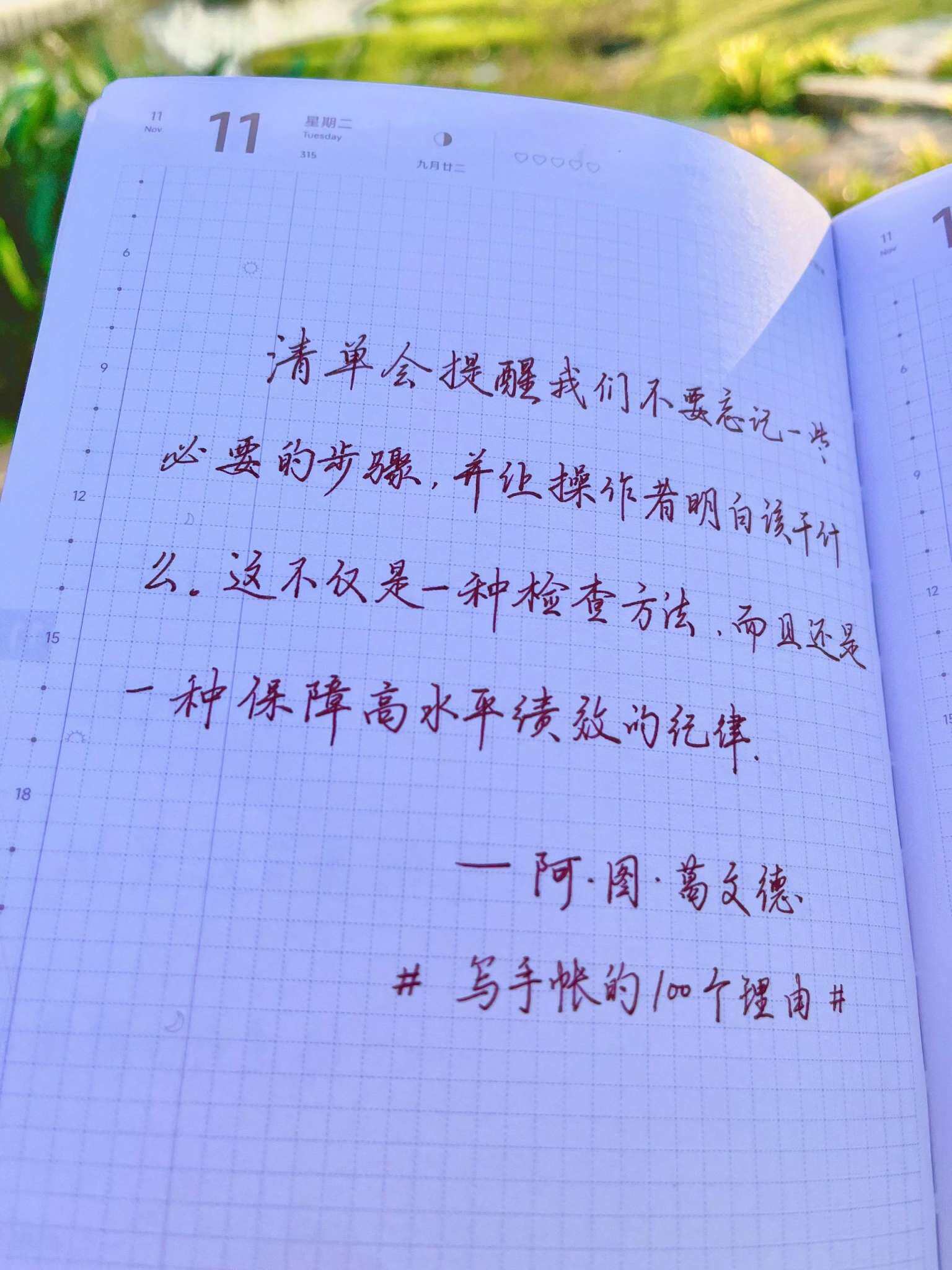 自在手帐2025年11月11日