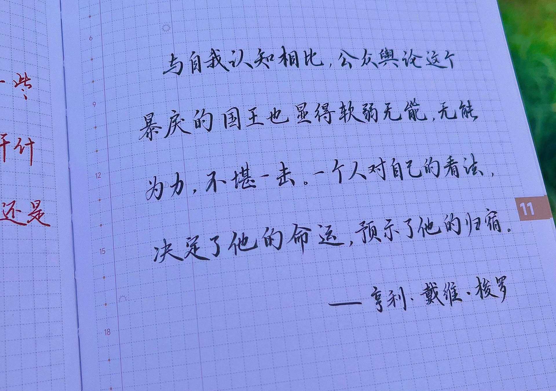 自在手帐2025年11月12日