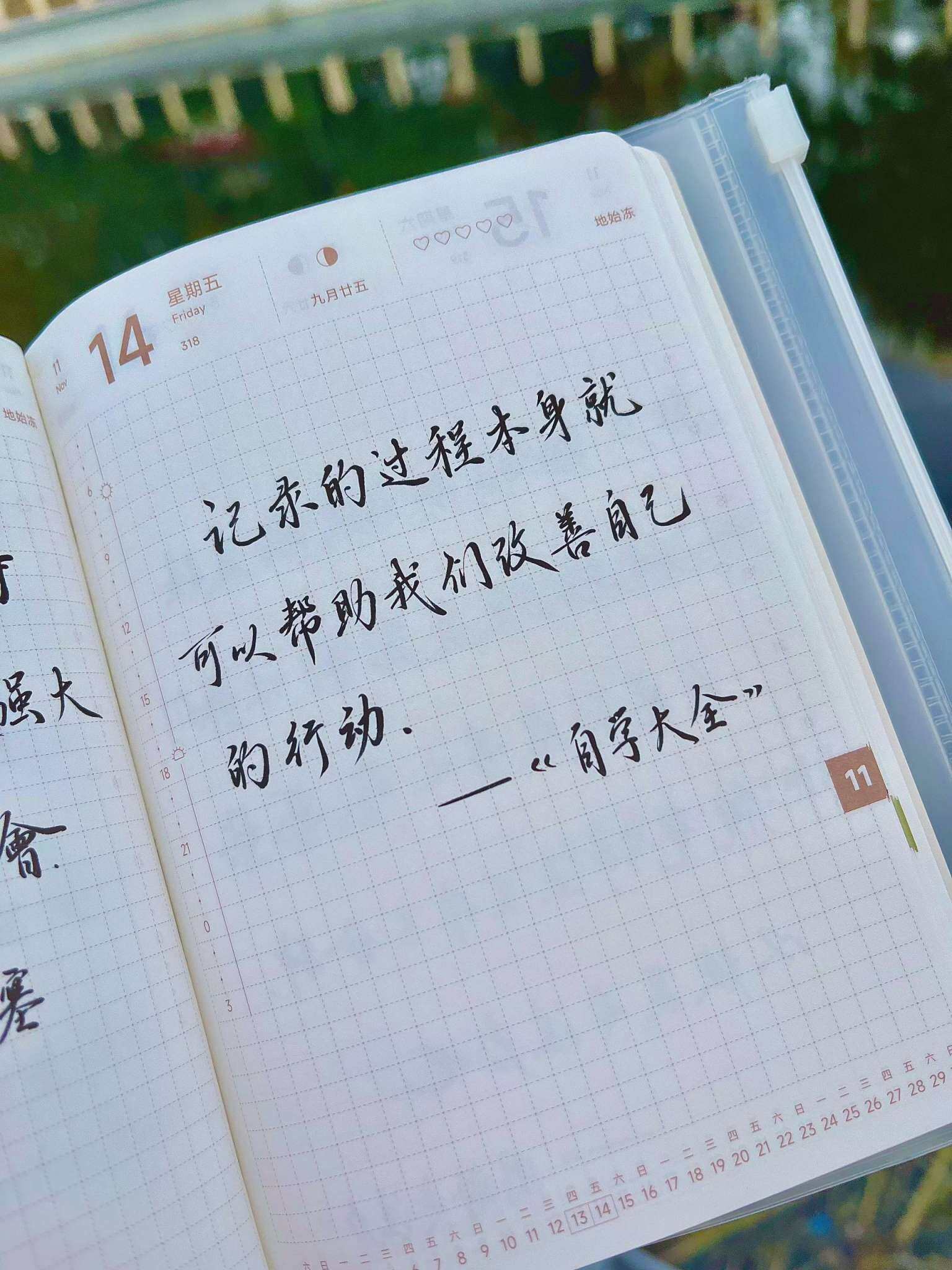 自在手帐2025年11月14日