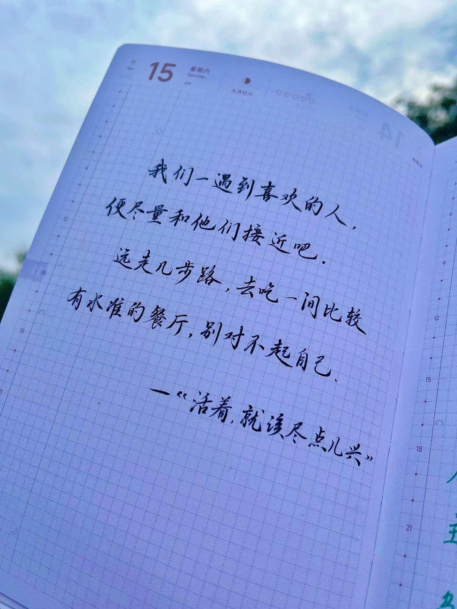 自在手帐2025年11月15日