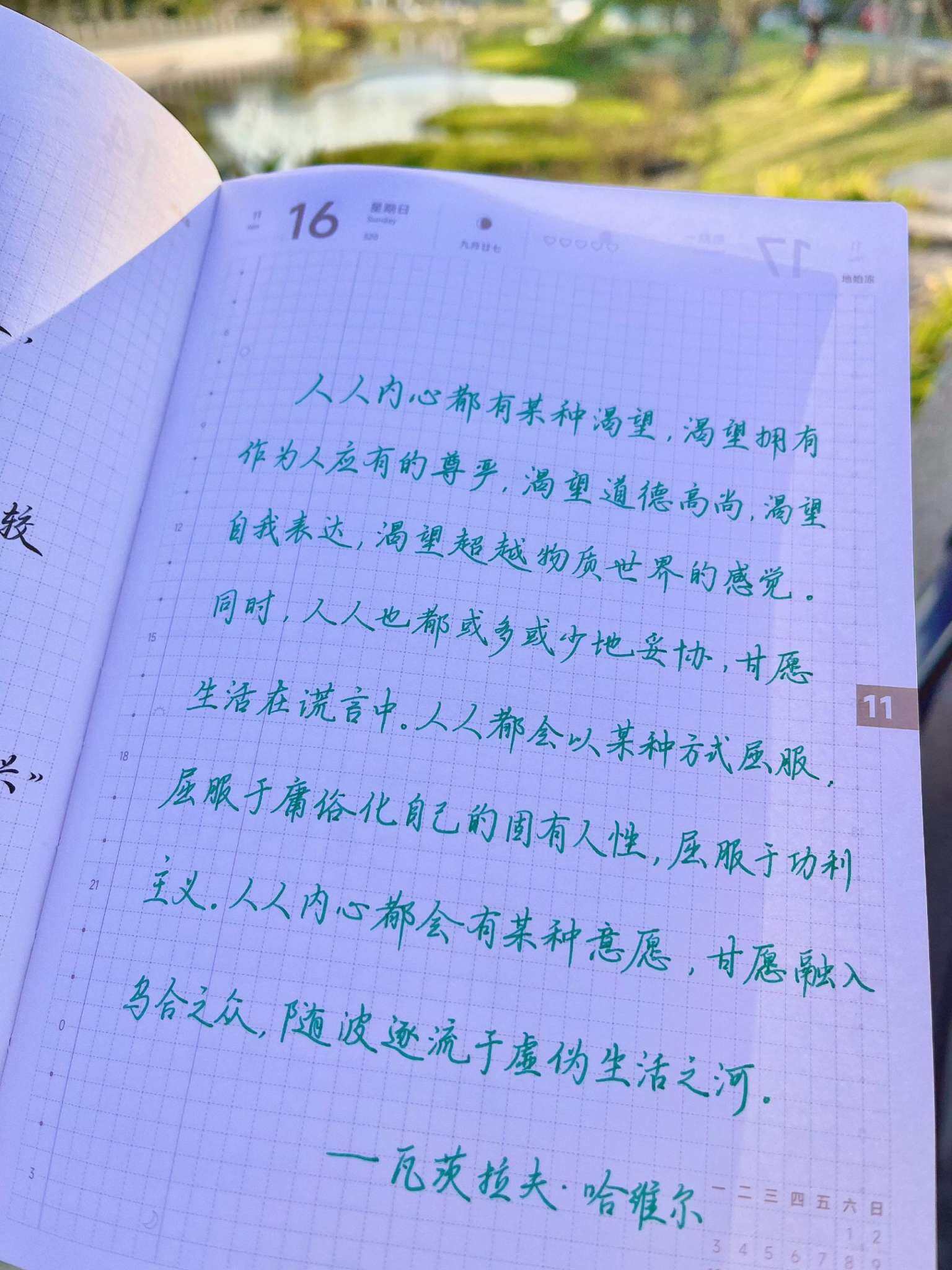 自在手帐2025年11月16日