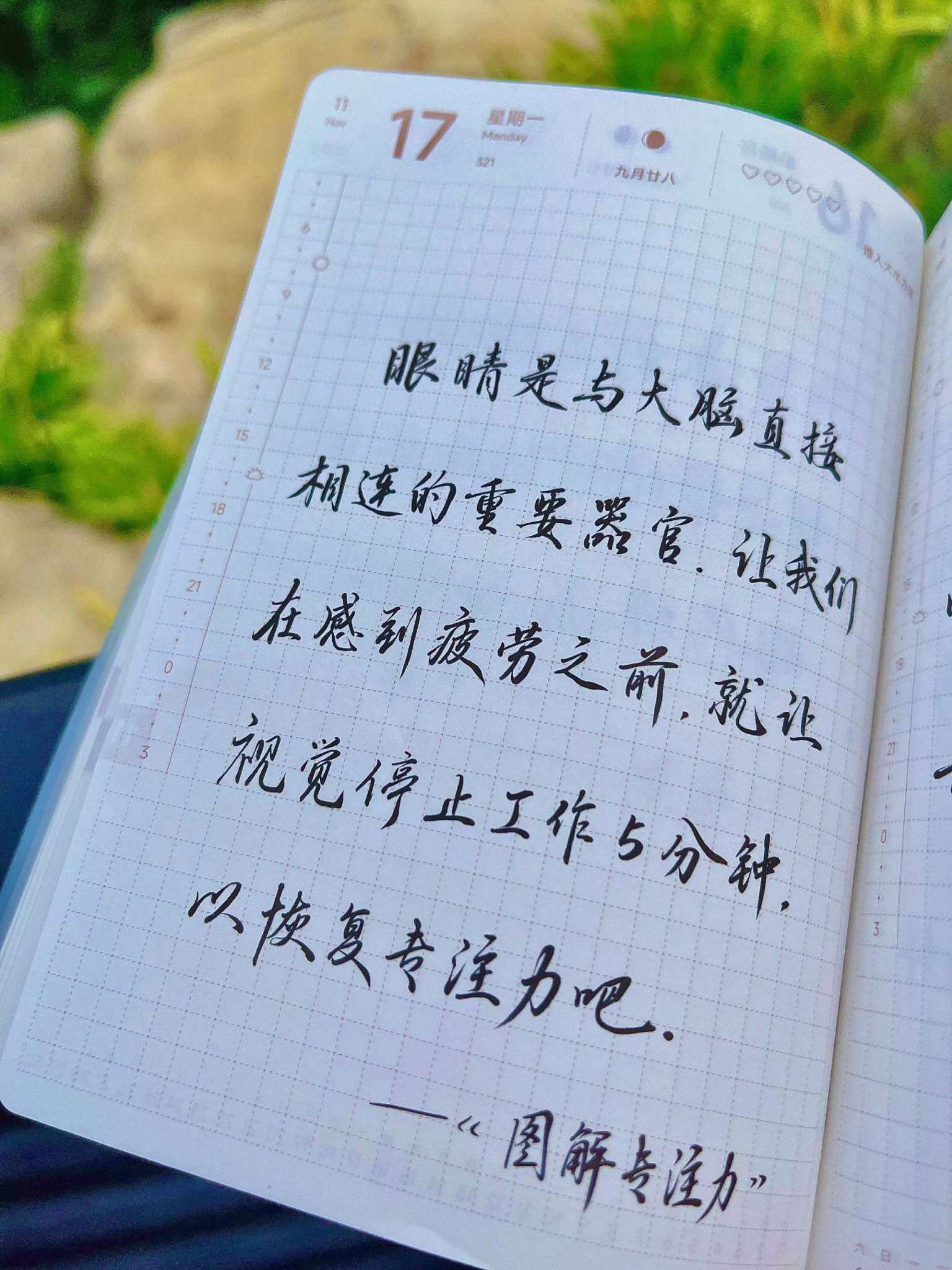自在手帐2025年11月17日