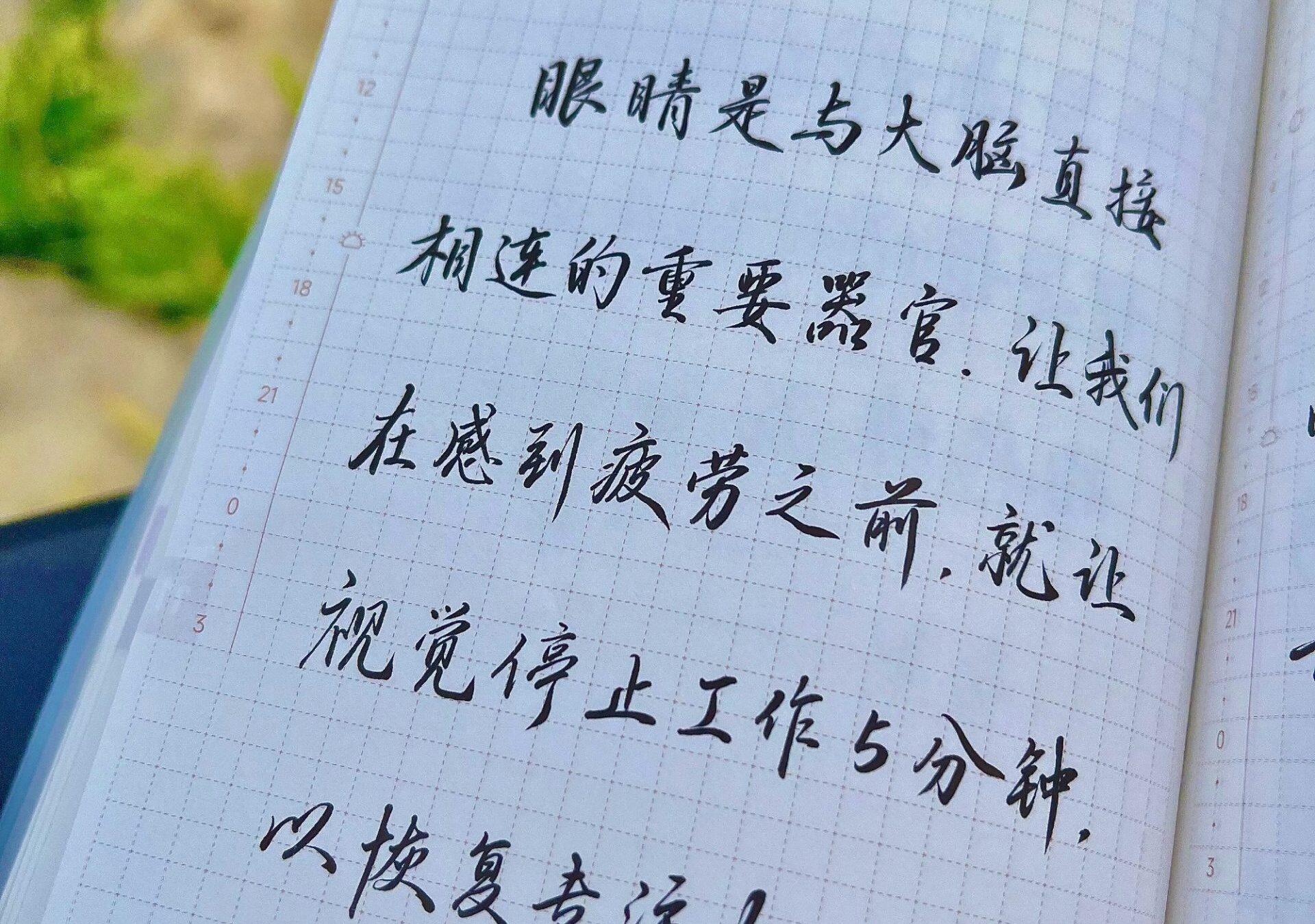 专注力，是大脑与眼睛的默契