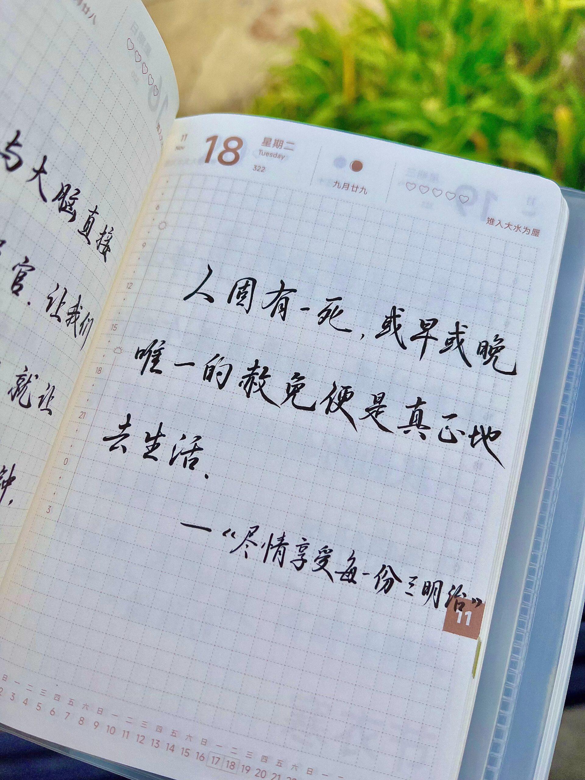 自在手帐2025年11月18日