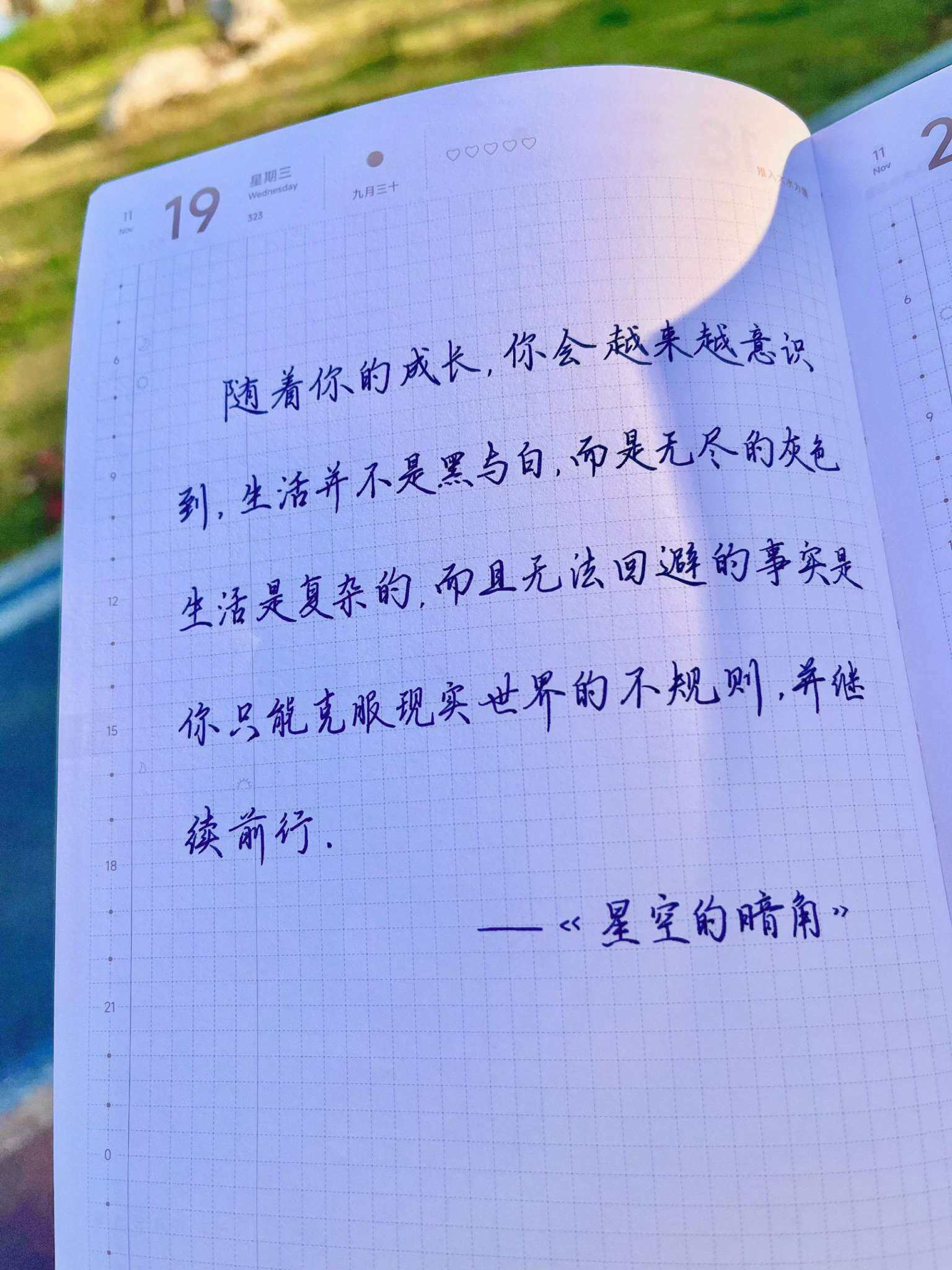 自在手帐2025年11月19日